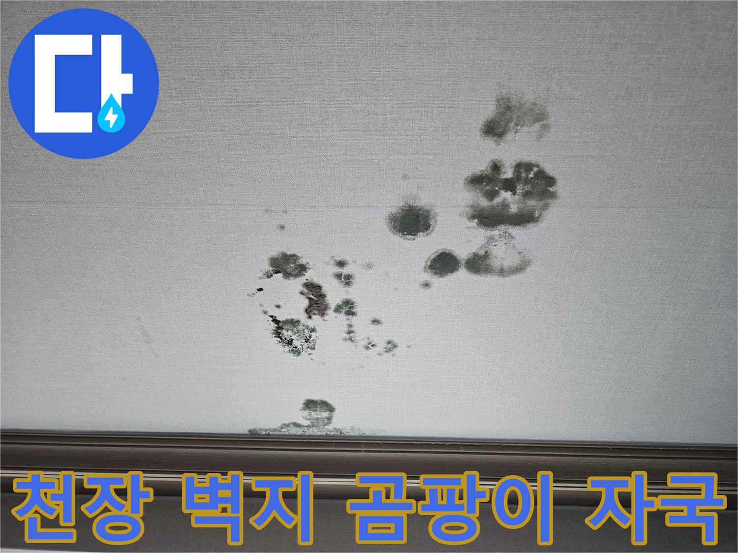 화성 동탄 상가주택-거실 천장 벽지의 곰팡이와 물자국 현황