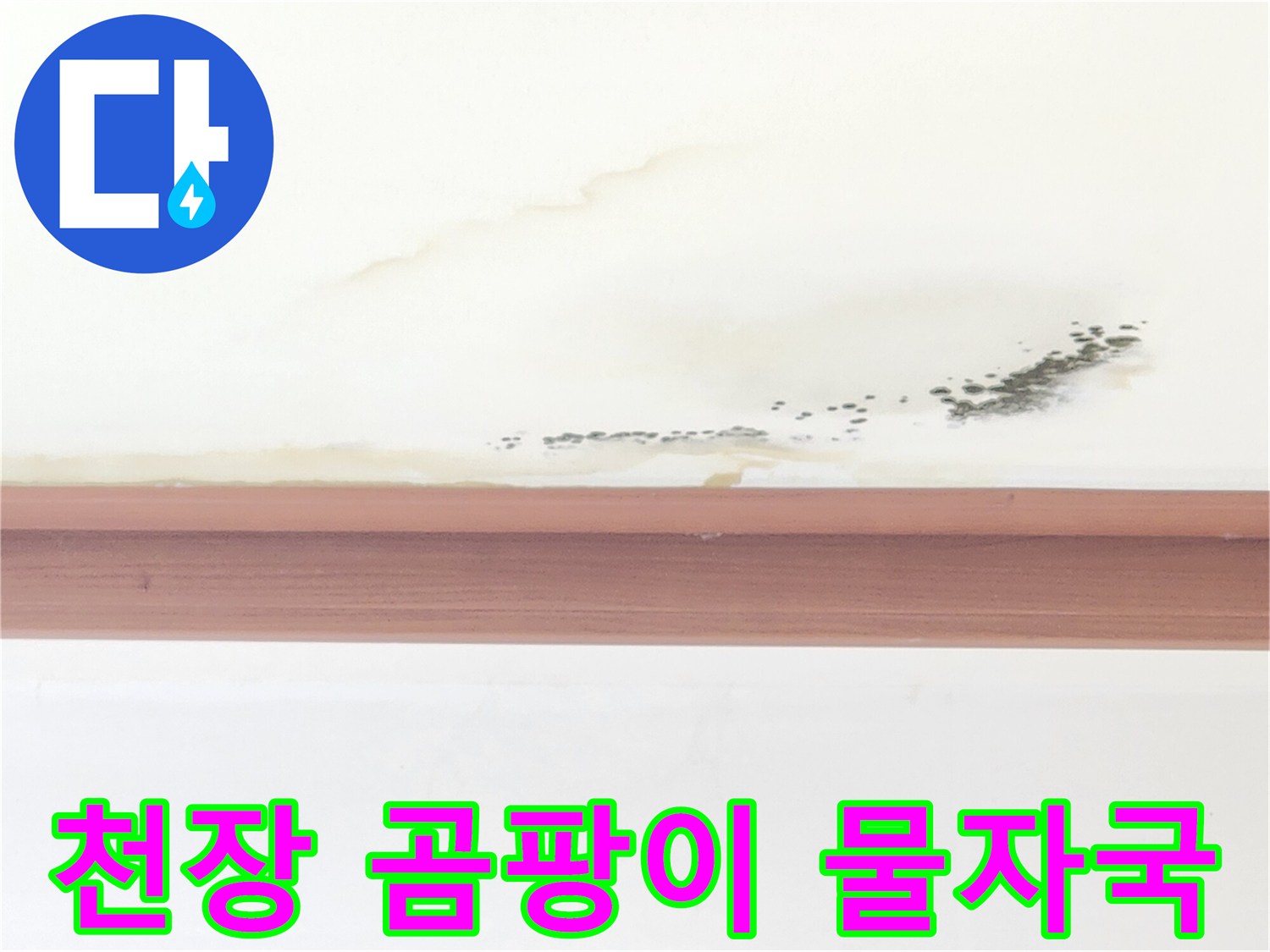 거실 천장 벽지에 나타난 누런 얼룩과 곰팡이 증상