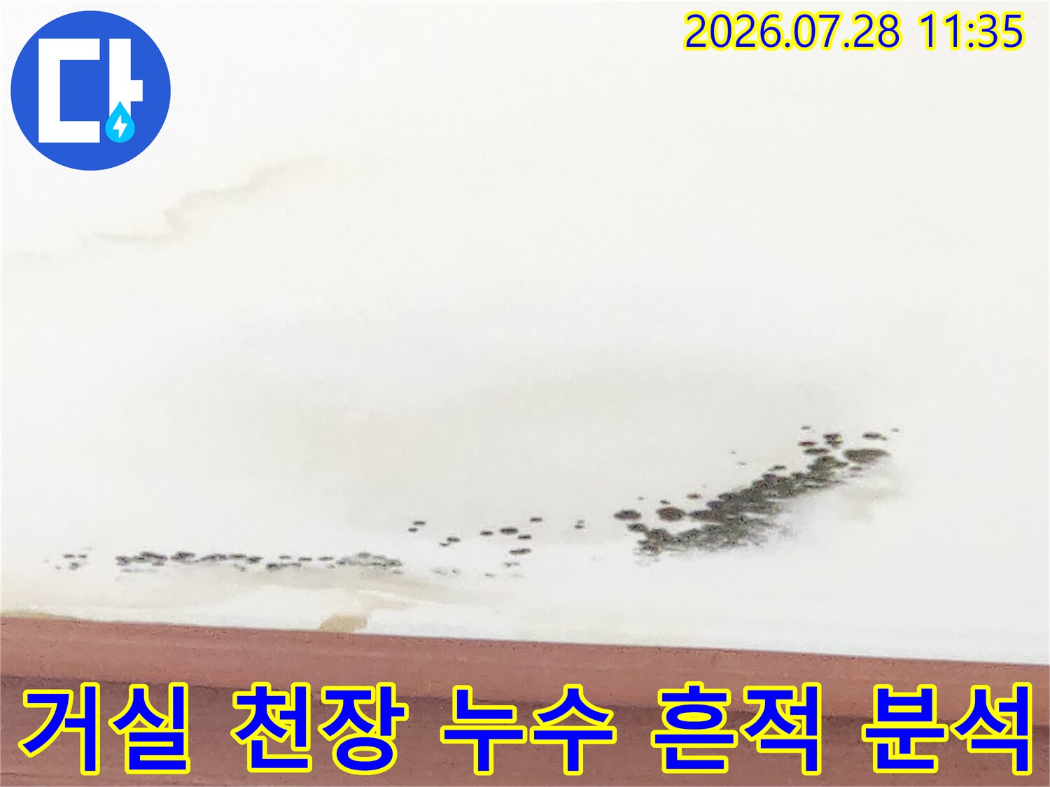 거실 천장의 물자국과 곰팡이가 번진 모습