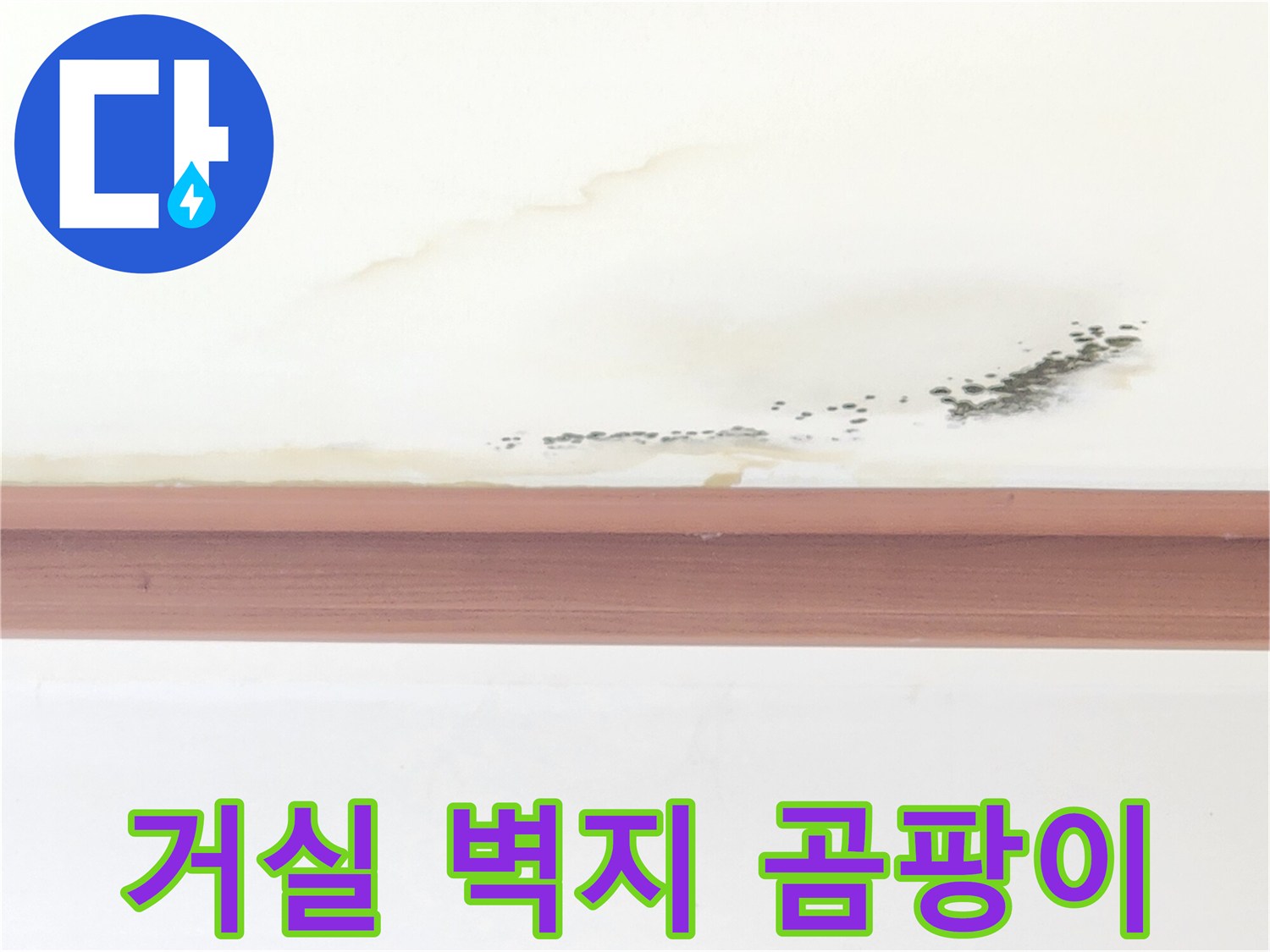 벽지를-뚫고-나온-검은색-곰팡이와-물자국