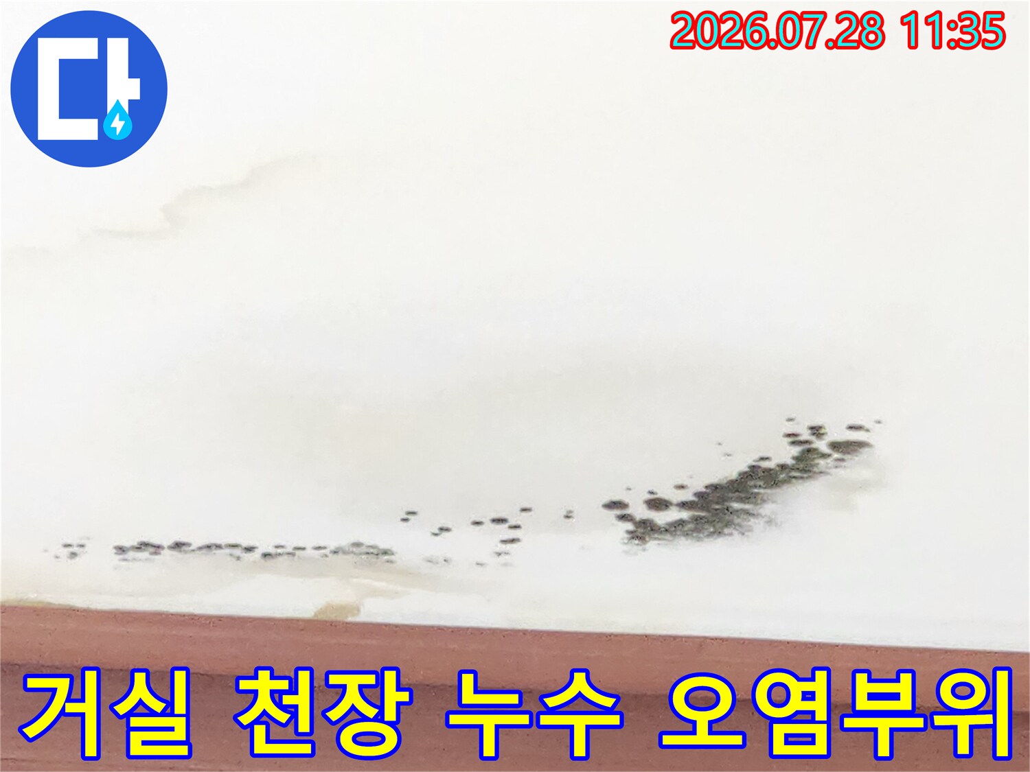 아래층 거실 천장의 곰팡이와 물자국으로 인한 변색 부위