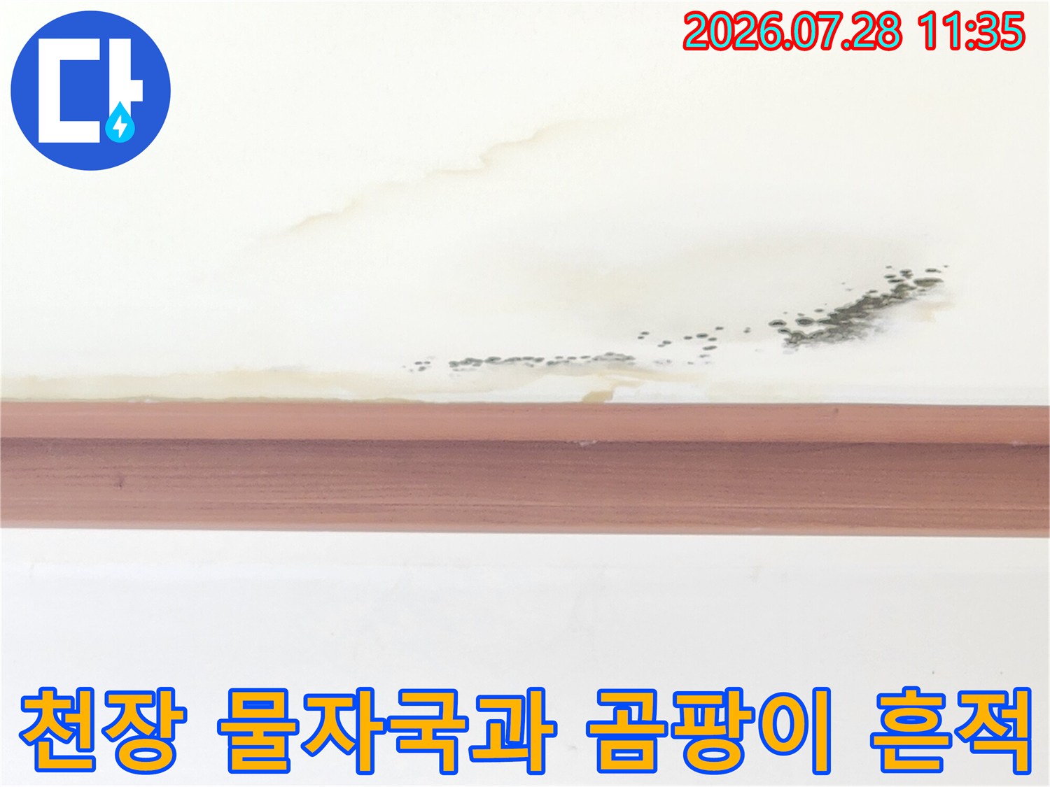 아랫집 거실 천장에 발생한 물자국과 곰팡이 피해 상황
