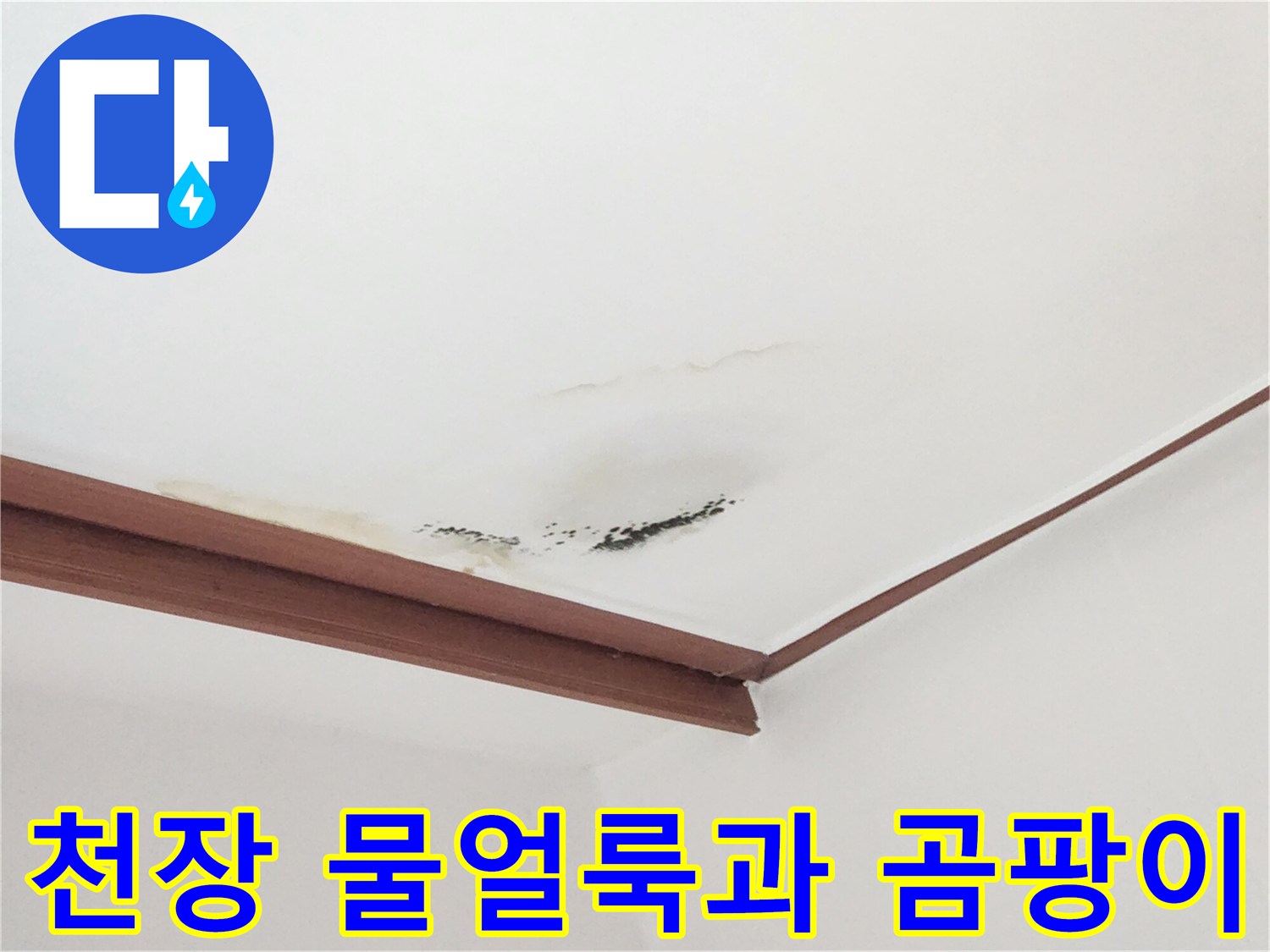 인천 중구 아랫집 거실 천장에 발생한 누수 흔적 및 곰팡이 상태