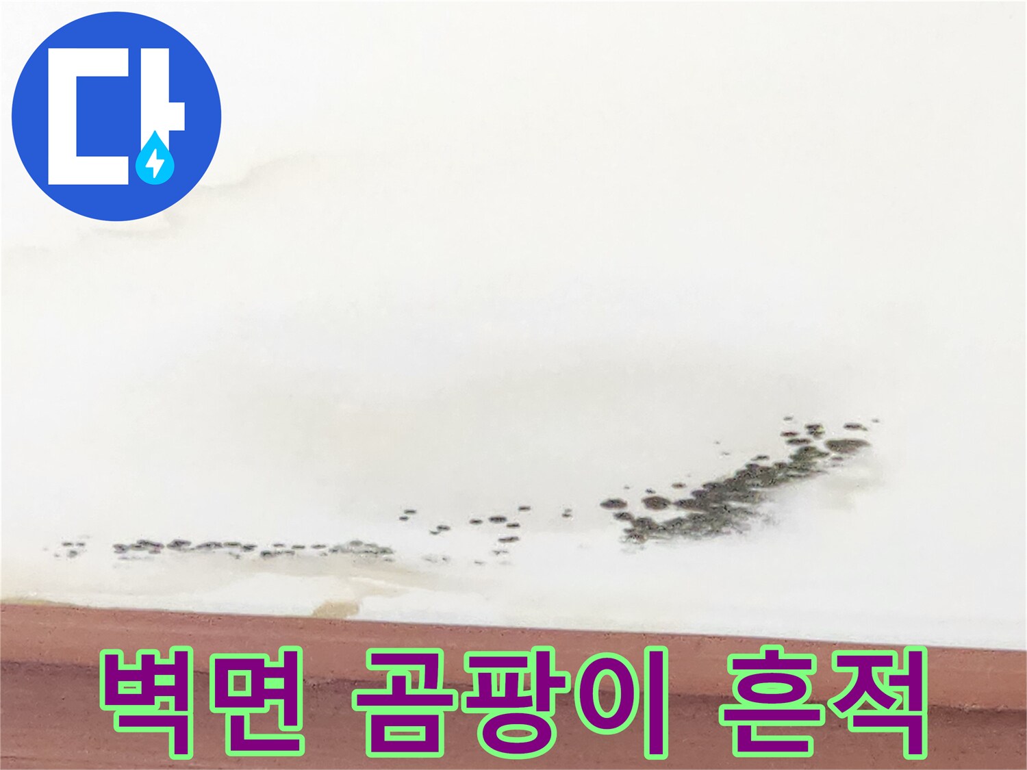 천장-모서리-부분의-심한-물자국과-곰팡이-번짐