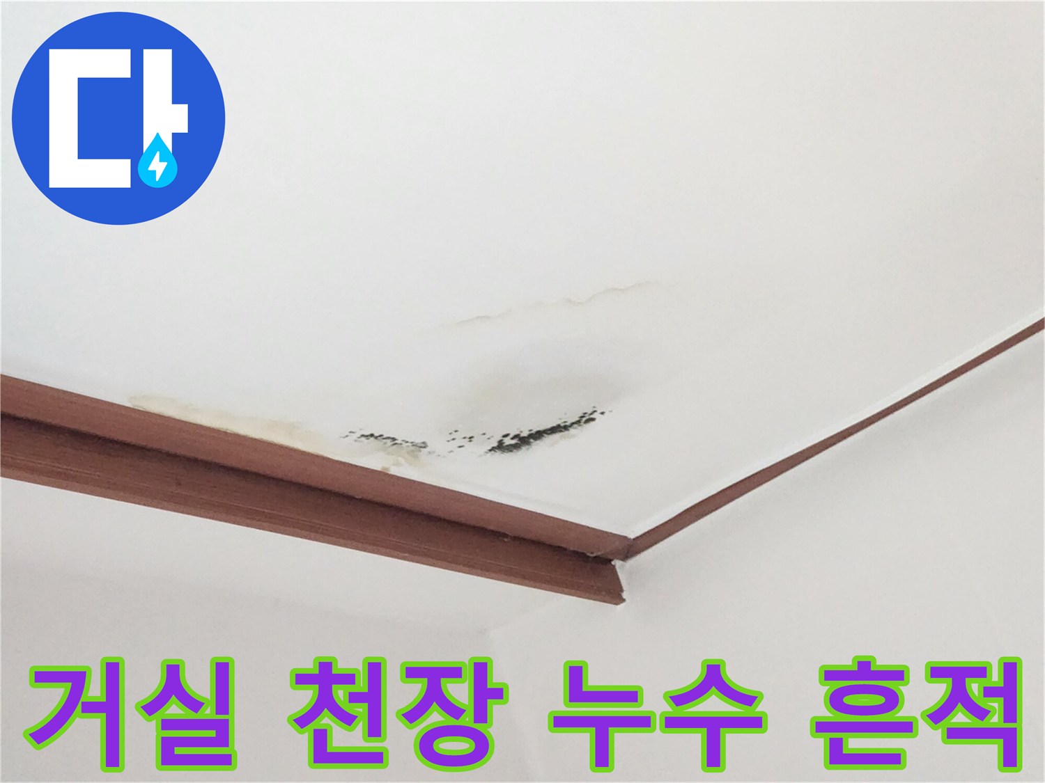 천장 몰딩 부근에 발생한 갈색 물자국과 곰팡이 번짐 현상