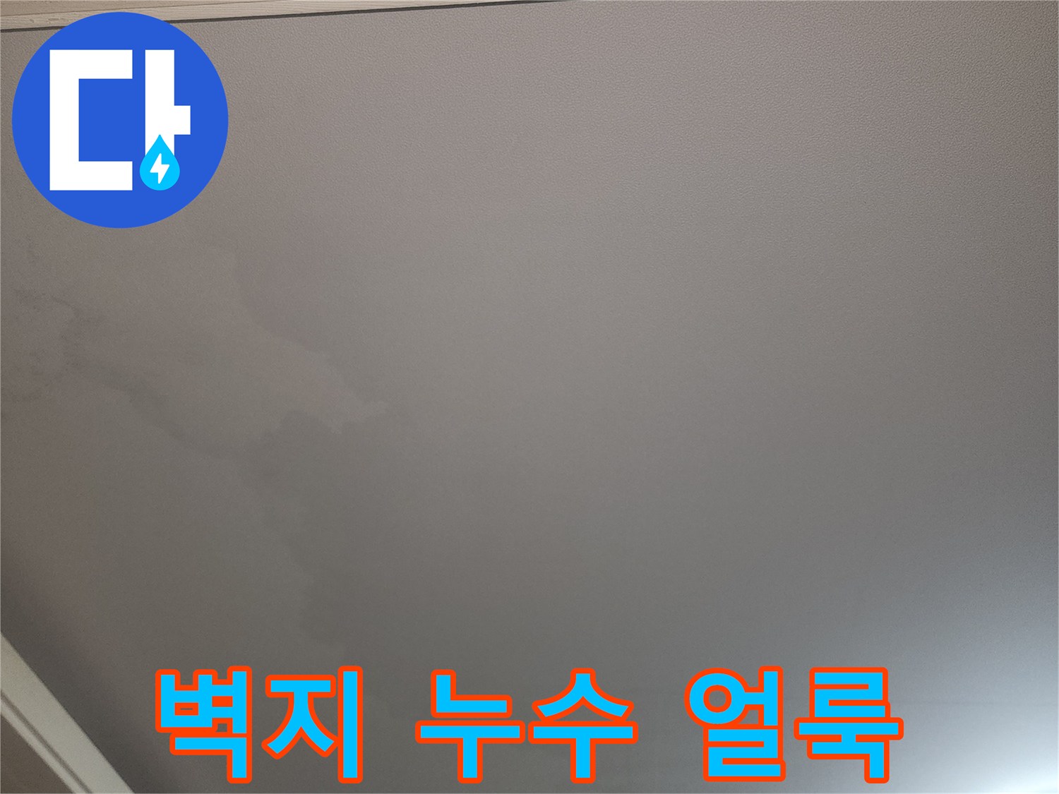 천장 벽지가 젖어서 어둡게 변한 상태를 촬영한 사진입니다.