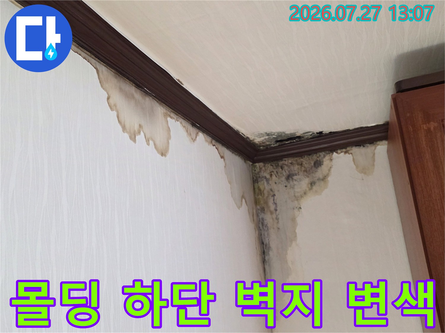 갈색으로 변색된 천장 몰딩 아래-벽지를 타고 흘러내린 누수 자국과 곰팡이 오염