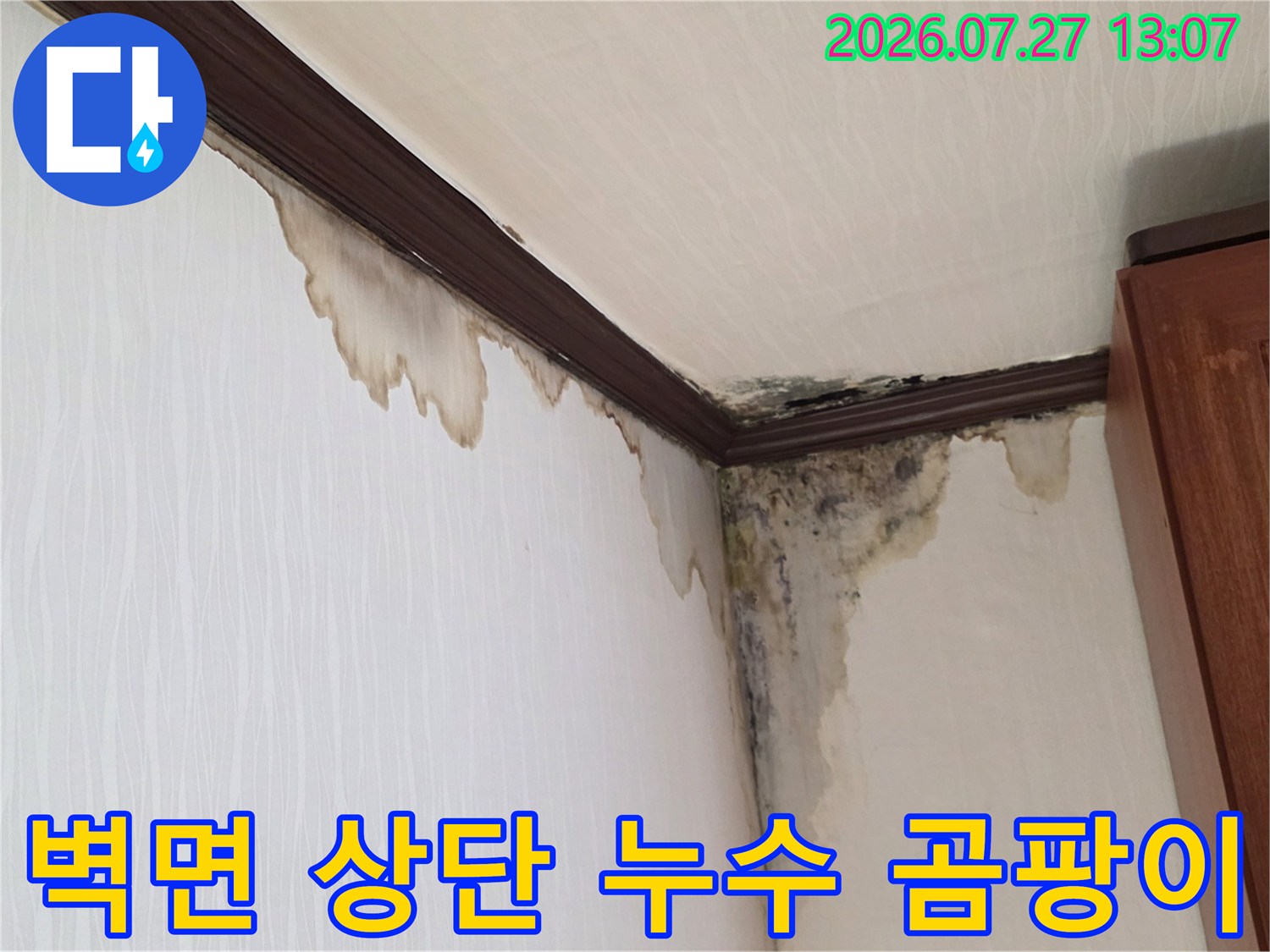 천장-모서리부터-아래로-흘러내린-갈색-물자국과-심한-곰팡이-오염-현상
