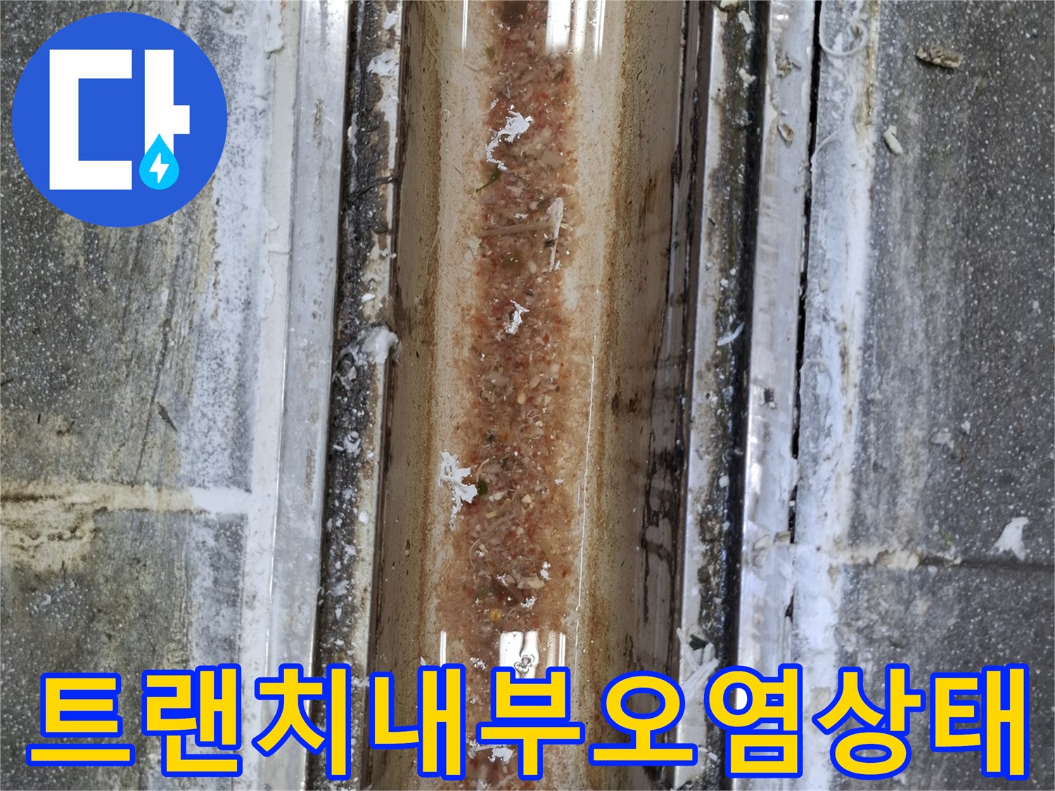 식당-배수-트랜치-내부의-심한-이물질-및-오염