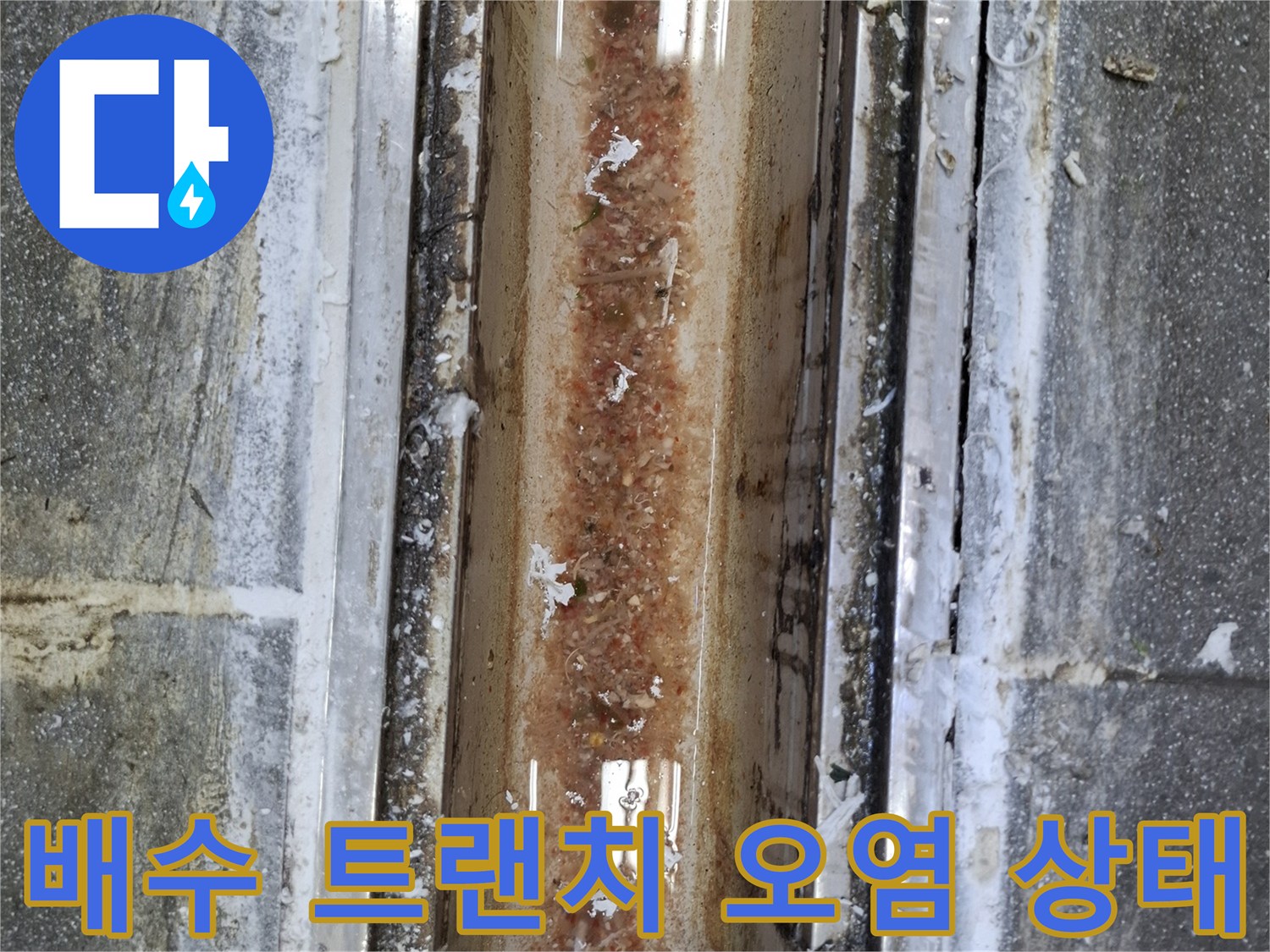 오염된-배수구-내부와-노후된-트랜치-경계면