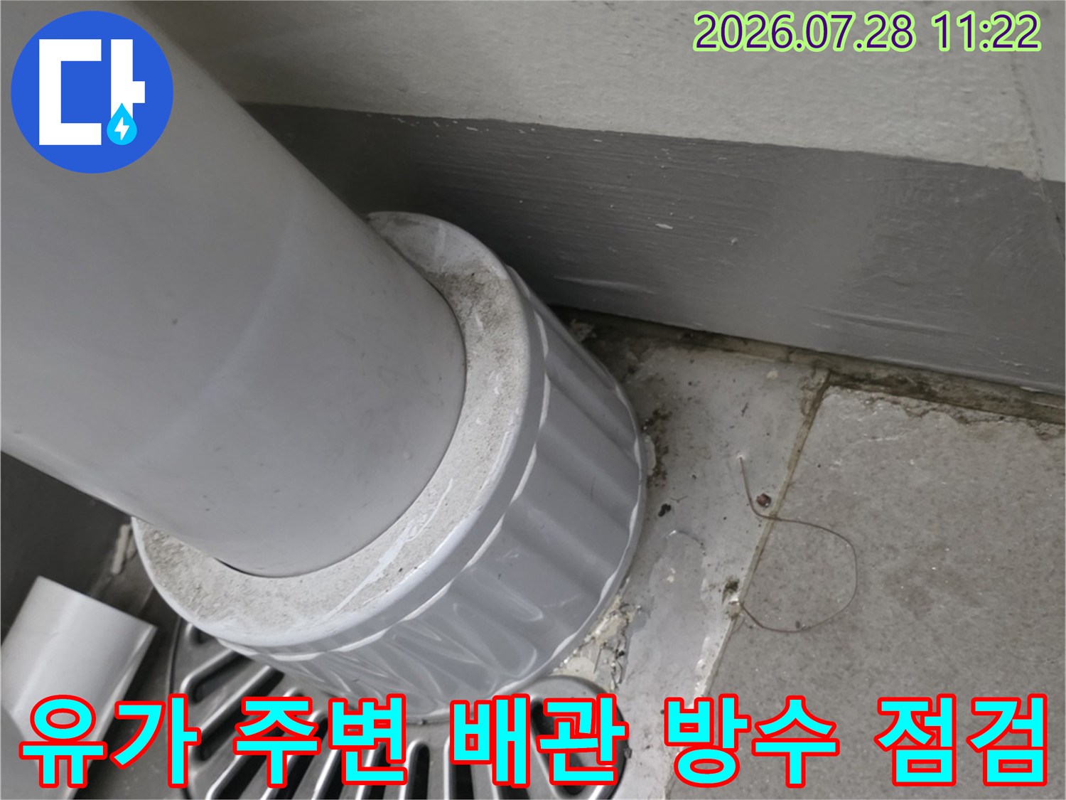 배수구 거름망과 흰색 플라스틱 배관의 연결부 상태를 촬영한 사진입니다.