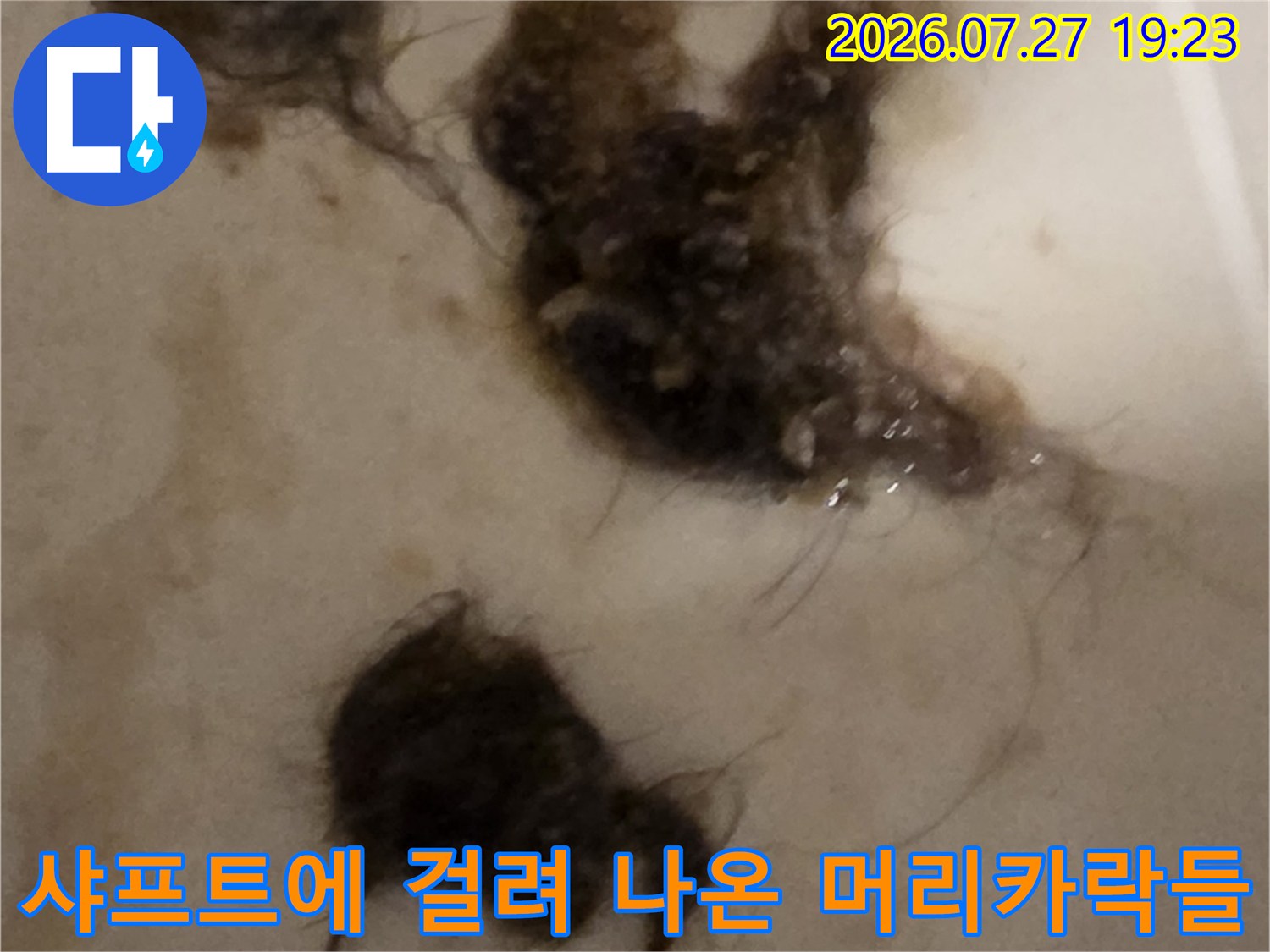 배관 내부에서 끄집어낸-검고 축축한 형태의 머리카락과 오염물 뭉치