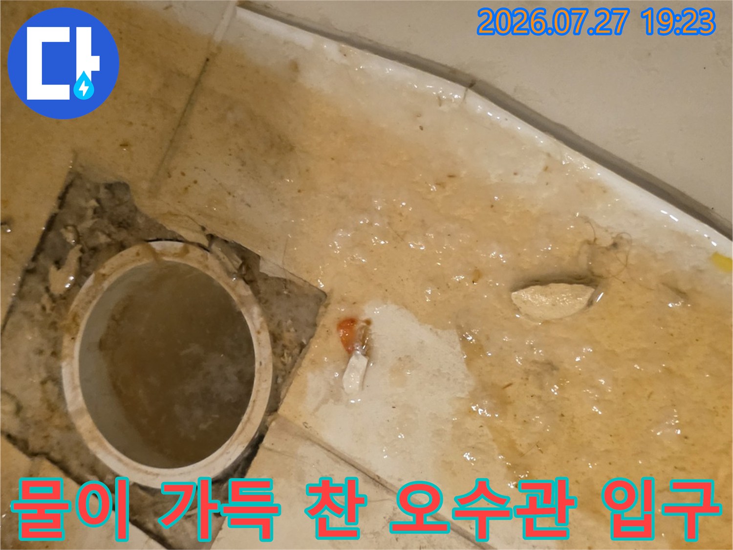 분당구-현장의-오염된-타일-바닥과-물이-차오른-오수관-입구-모습