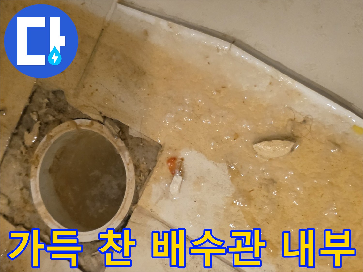 오수가 고여서 정체된 배관 입구의 사진입니다.
