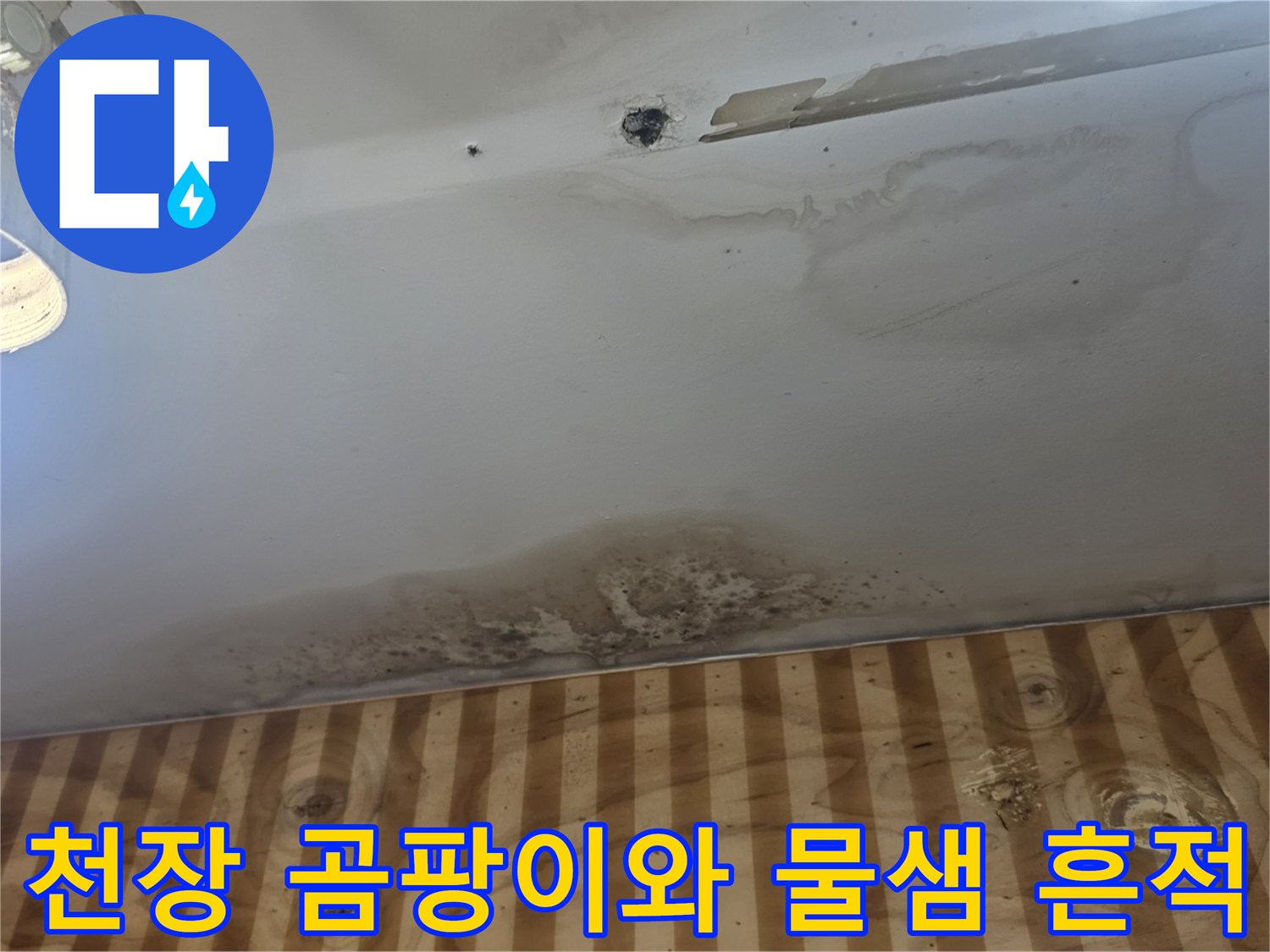상가주택-1층-천장-누수로-인한-얼룩과-곰팡이-발생-상태