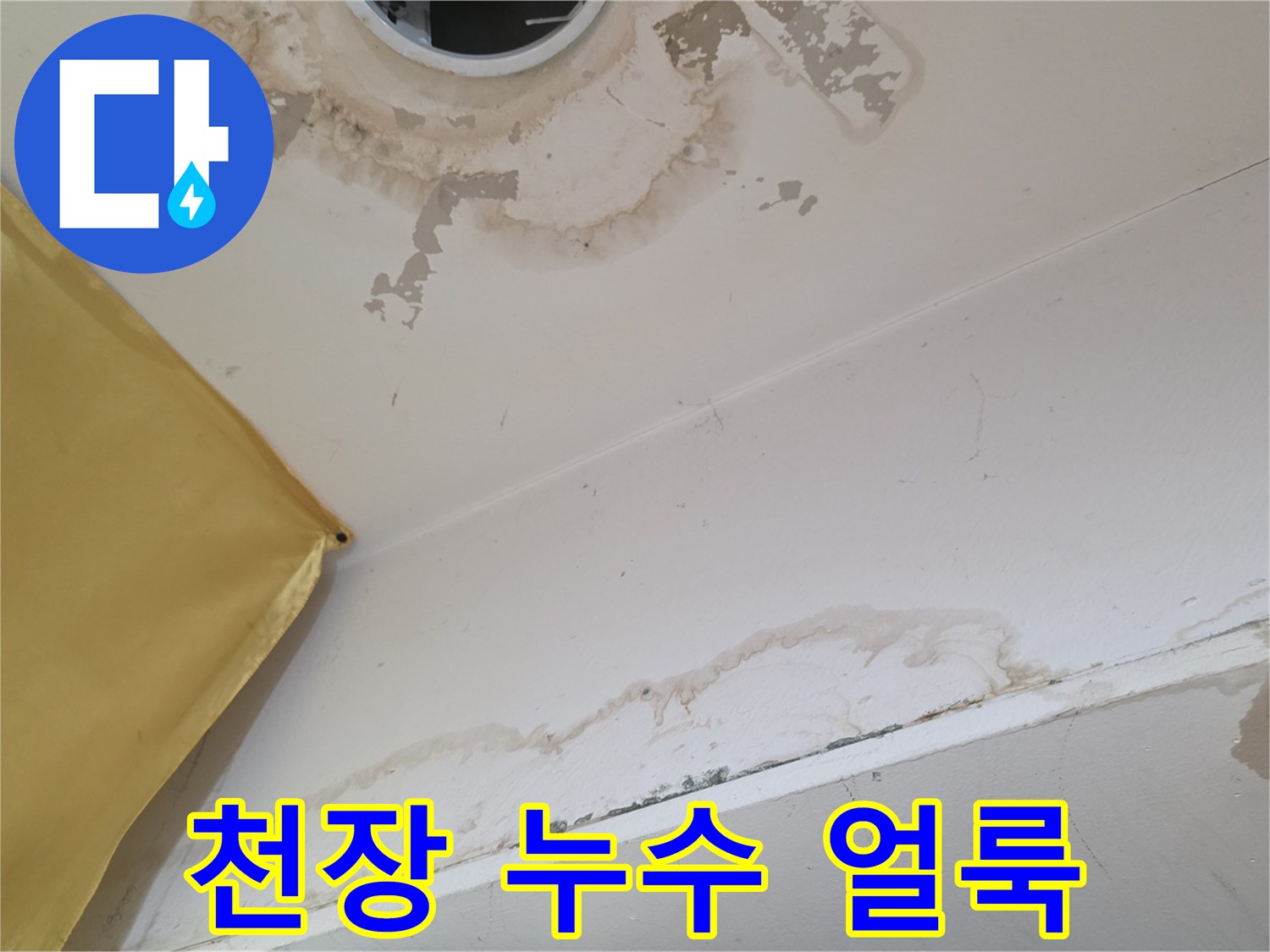 송파구 상가주택-천장 벽면 누수 오염 상태