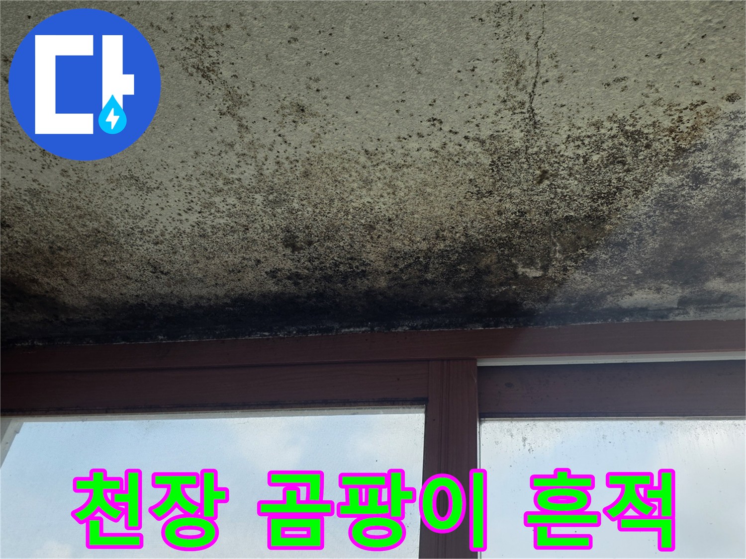 아파트-천장-표면에-발생한-심한-곰팡이와-습기-흔적
