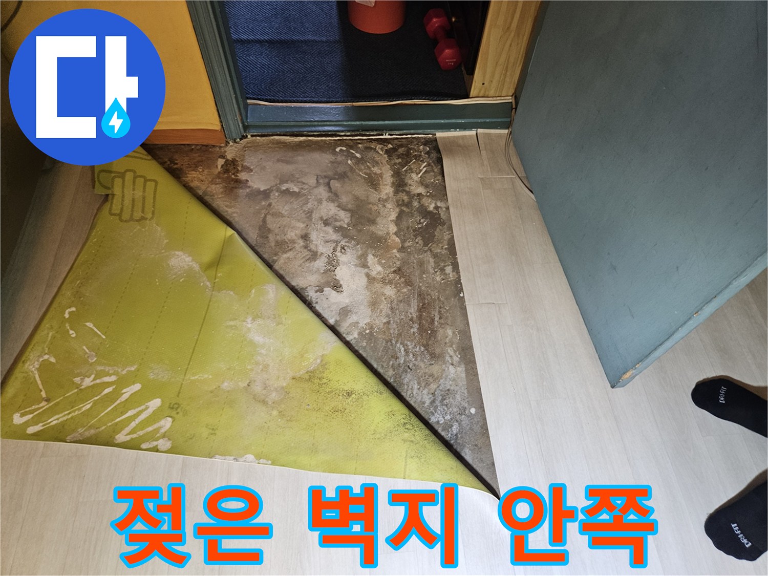 들춰낸 벽지-내부의 곰팡이와 물자국