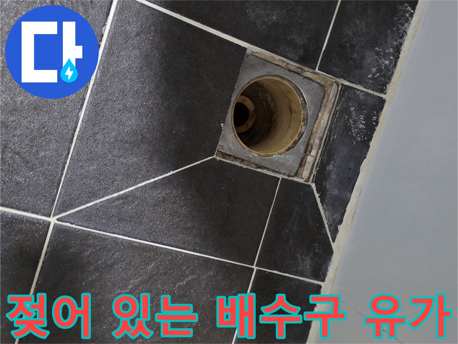 배수구 주변 타일의 습기 찬 모습