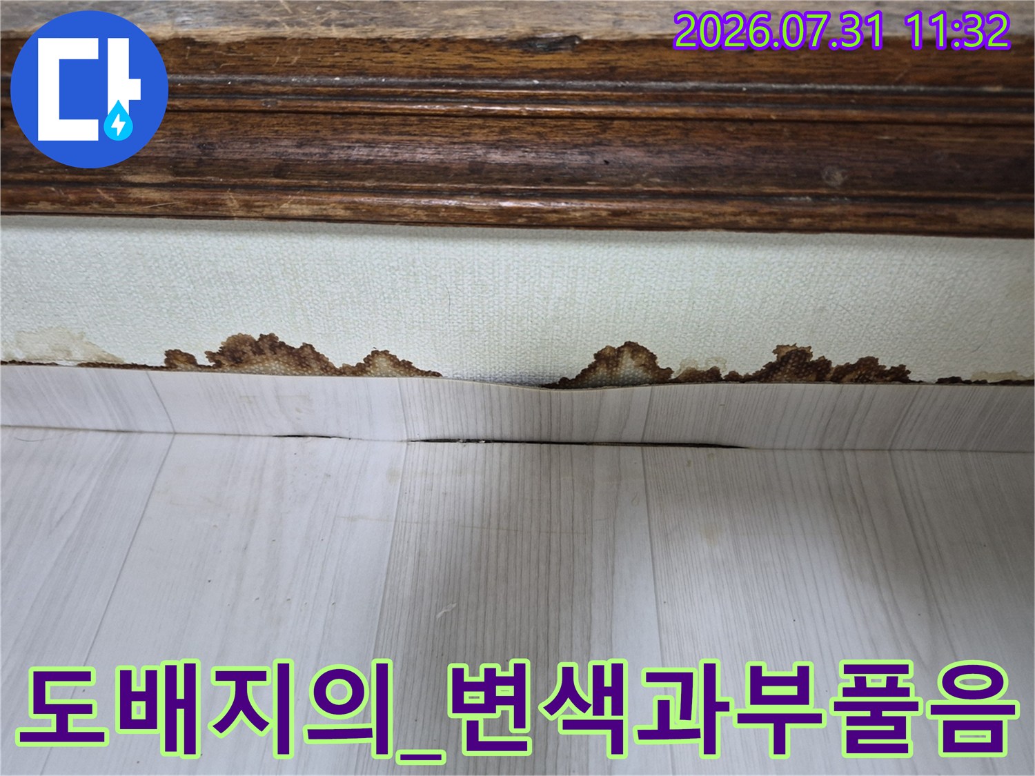 물에 젖어 곰팡이와 변색이 동반된 천장 벽면 경계 도배지