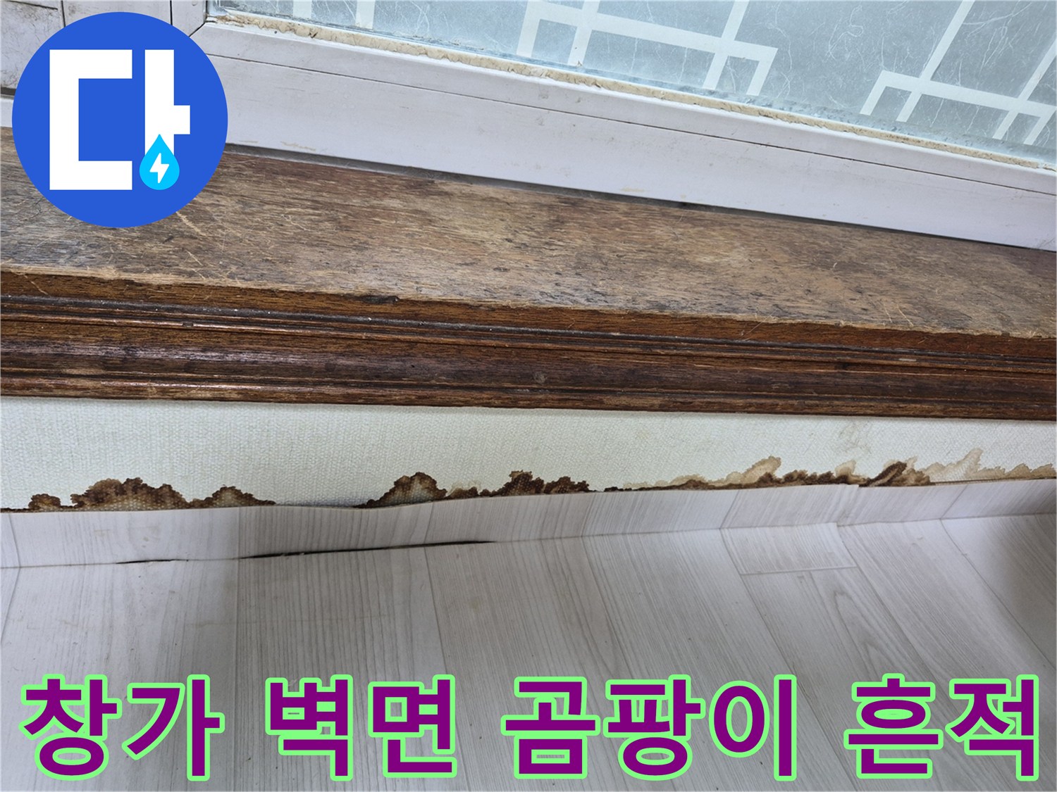 창문아래-젖은벽지와-곰팡이발생부위