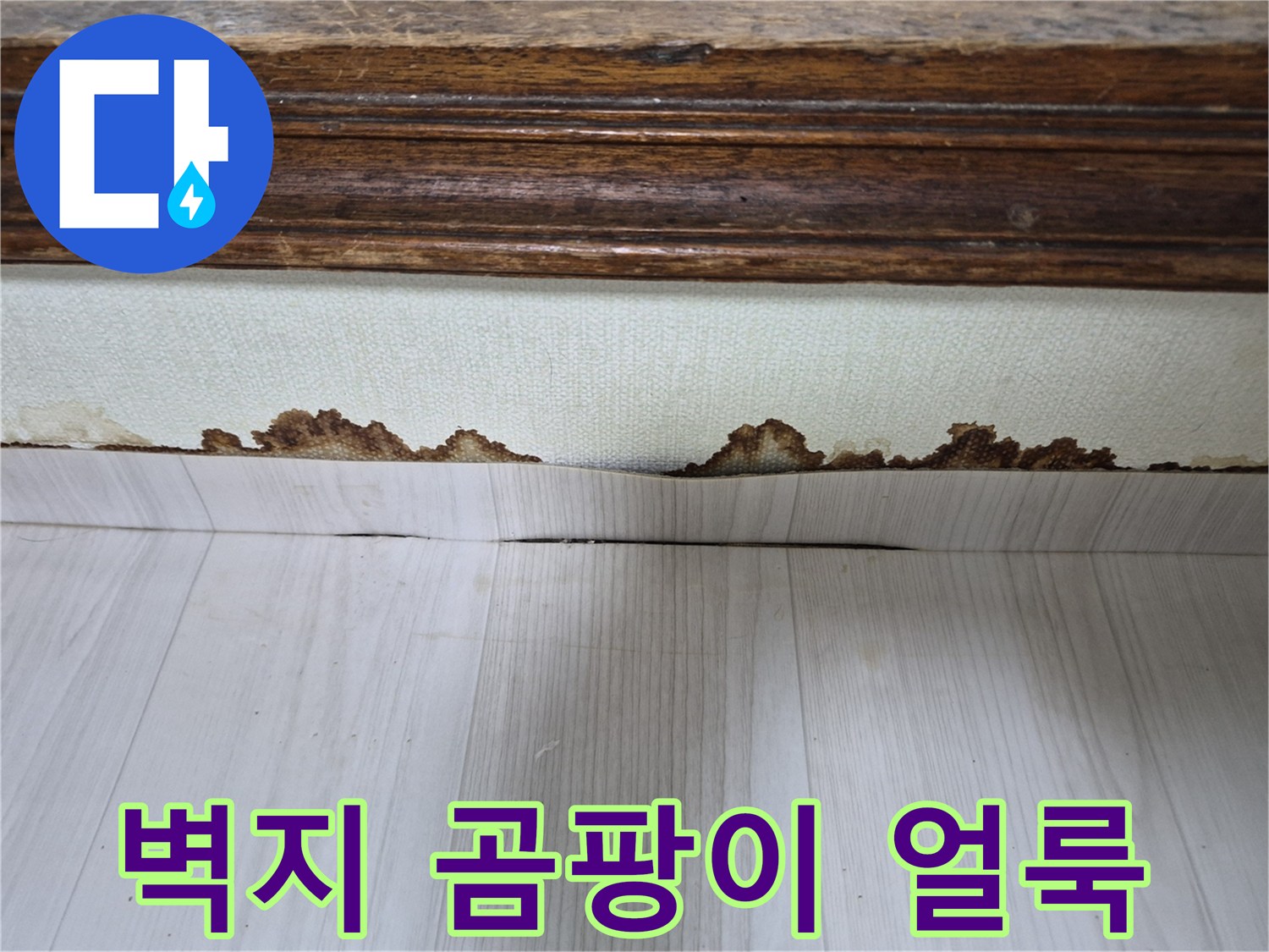 포천 신북면 현장-벽지가 들뜨고 곰팡이가 발생한 모습