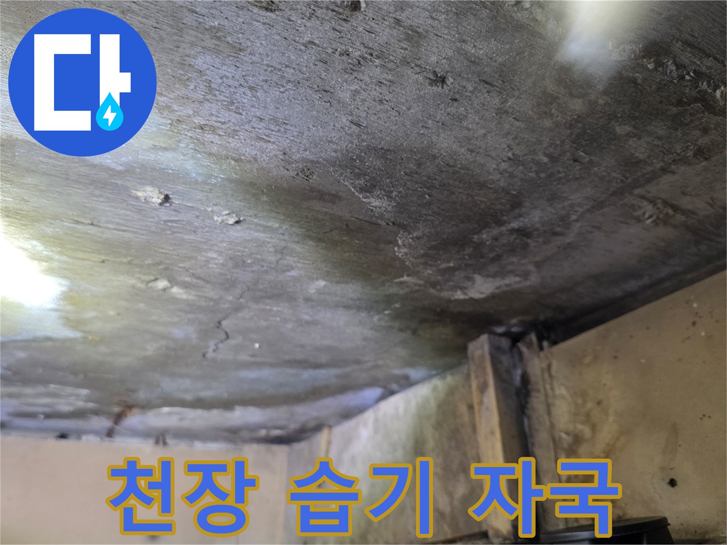 습기로 인해 변색된-천장 슬래브와 마감재 경계면