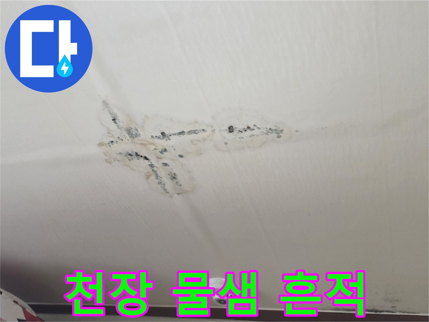 천장지에 나타난 곰팡이와 습기 침투 부위