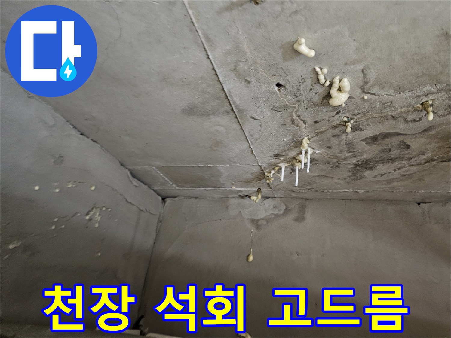 천장 콘크리트 면에 형성된 하얀 석회 고드름