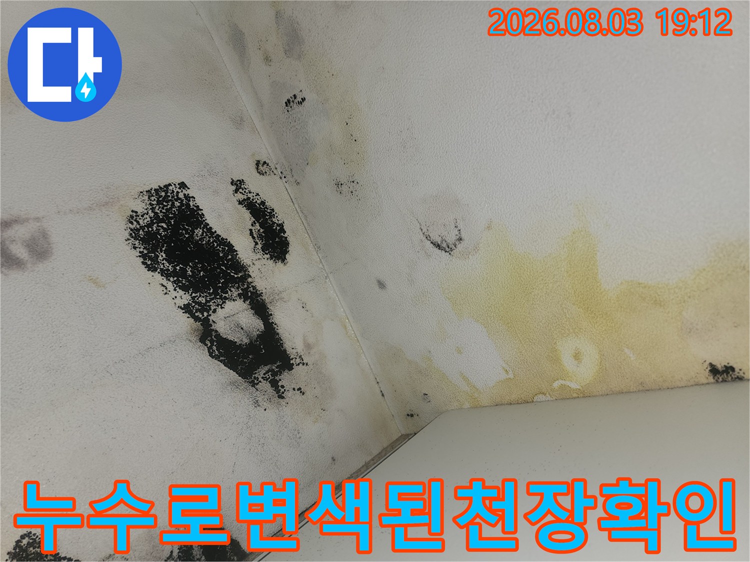 화장실 천장 내부 콘크리트가 누수와 곰팡이로 변색된 모습