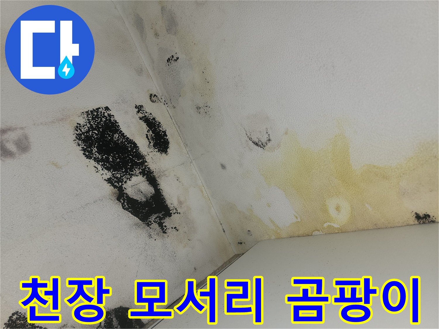화장실 천장과 벽면 접합부-누수로 인한 검은 곰팡이 오염