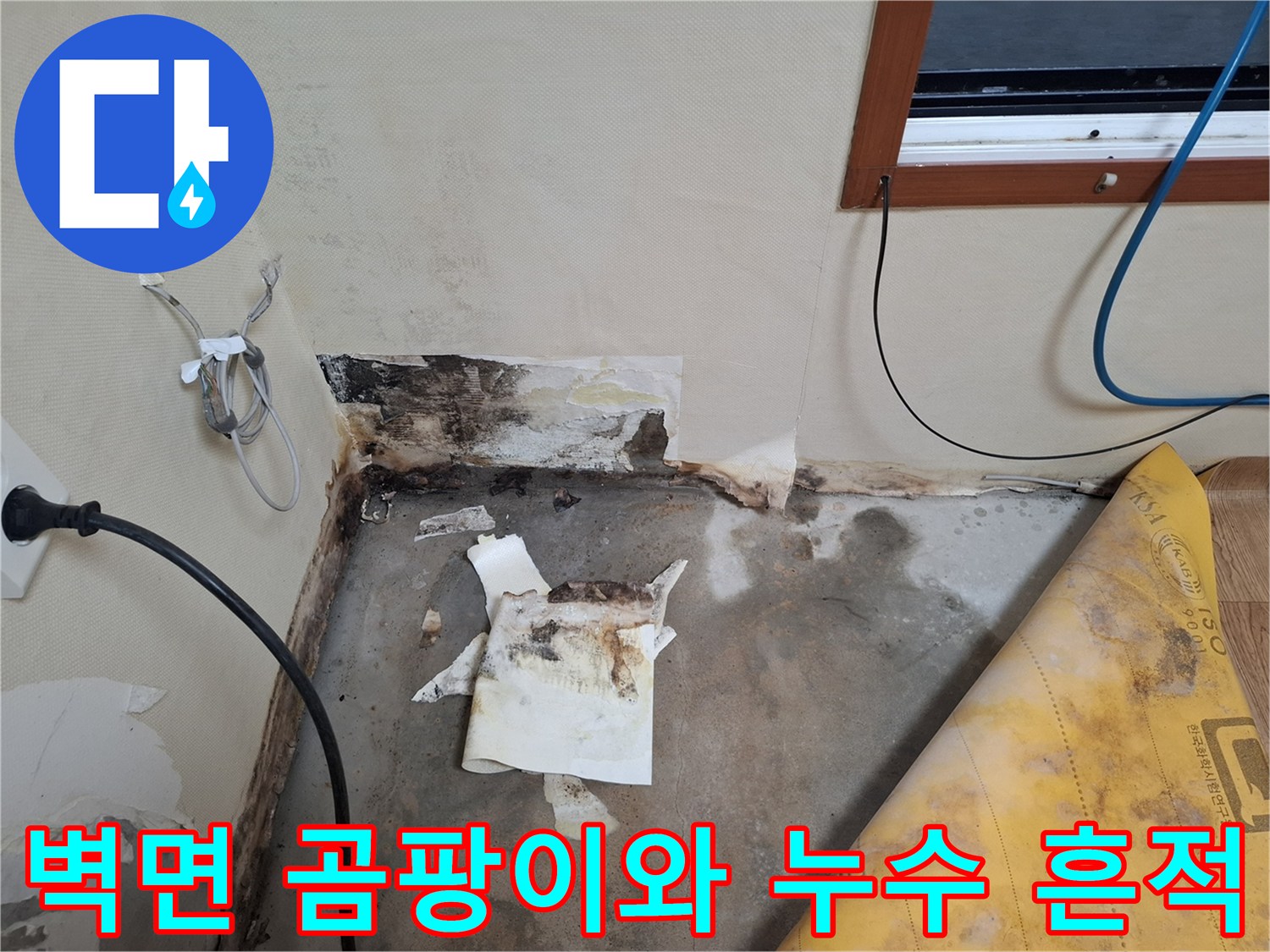 개봉동 현장-벽지 훼손 및 곰팡이가 발생한 벽면 상태