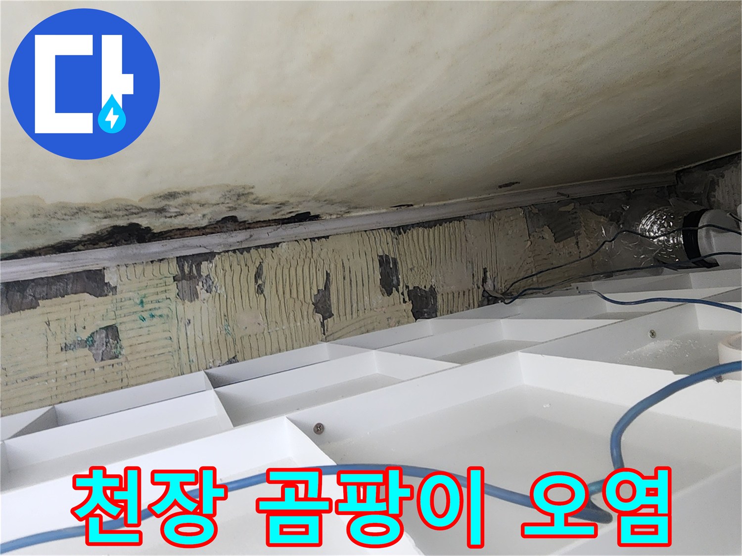 누수 피해 현장-천장 슬라브에 퍼진 곰팡이와 물 얼룩