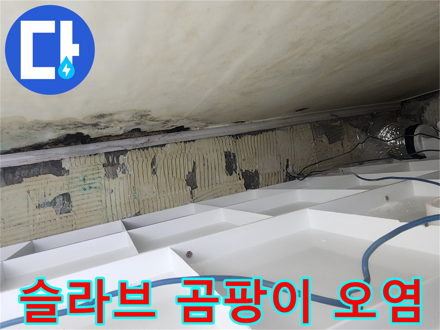 오염된 천장 슬라브-누수로 인한 곰팡이와 얼룩