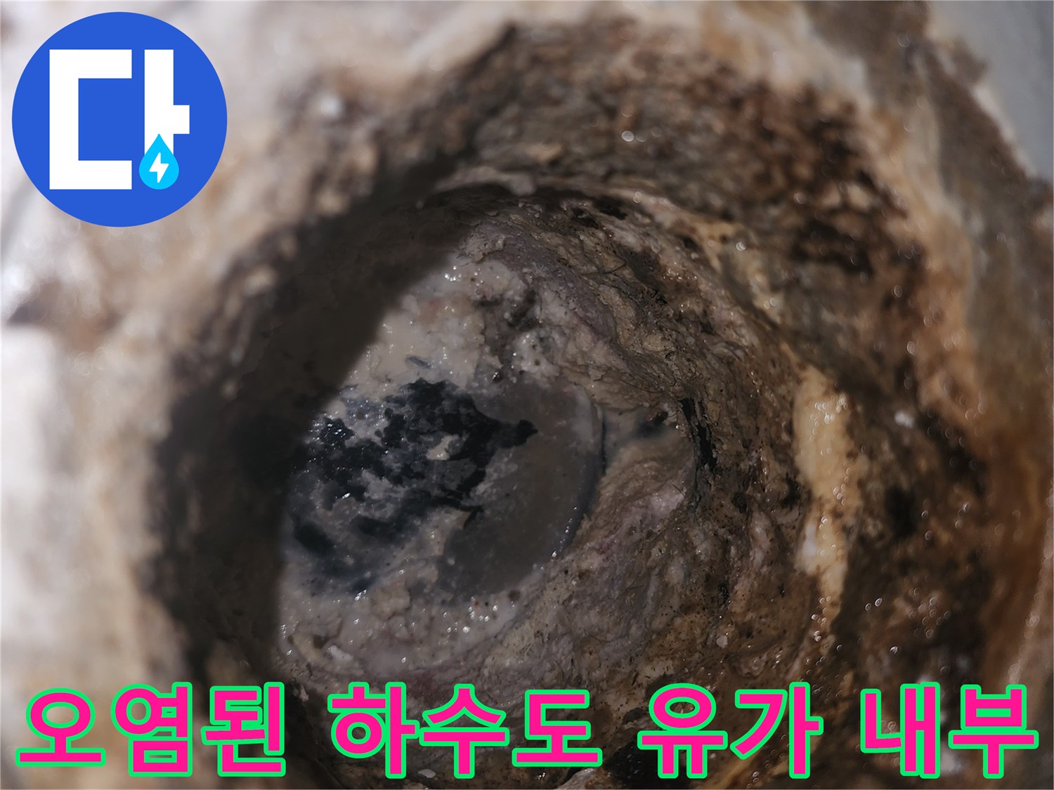 하수구 배관 입구 주변의 이물질과 물때로 오염된 모습입니다.