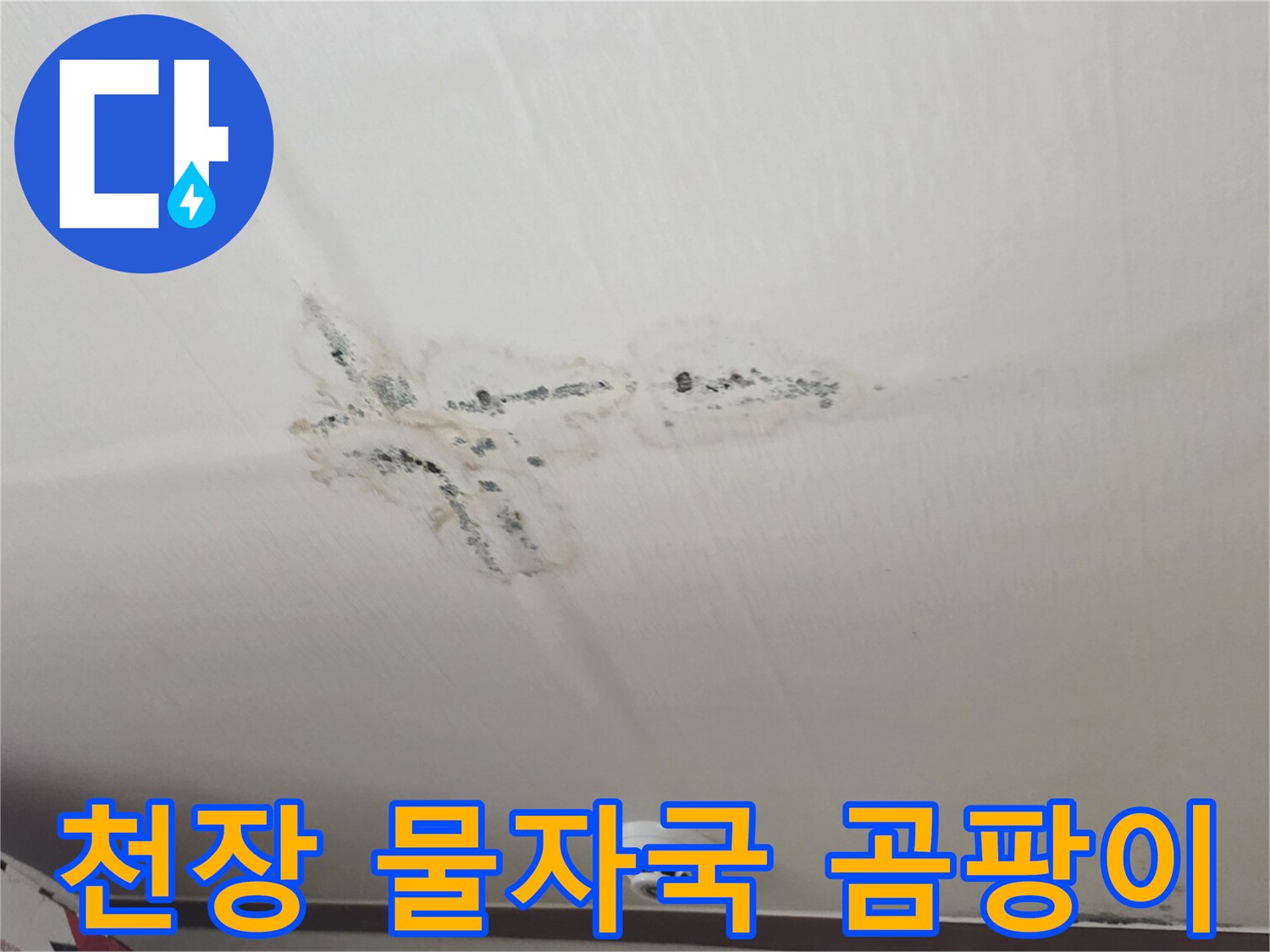 누수 피해로 나타난-천장의 젖은 얼룩과 곰팡이