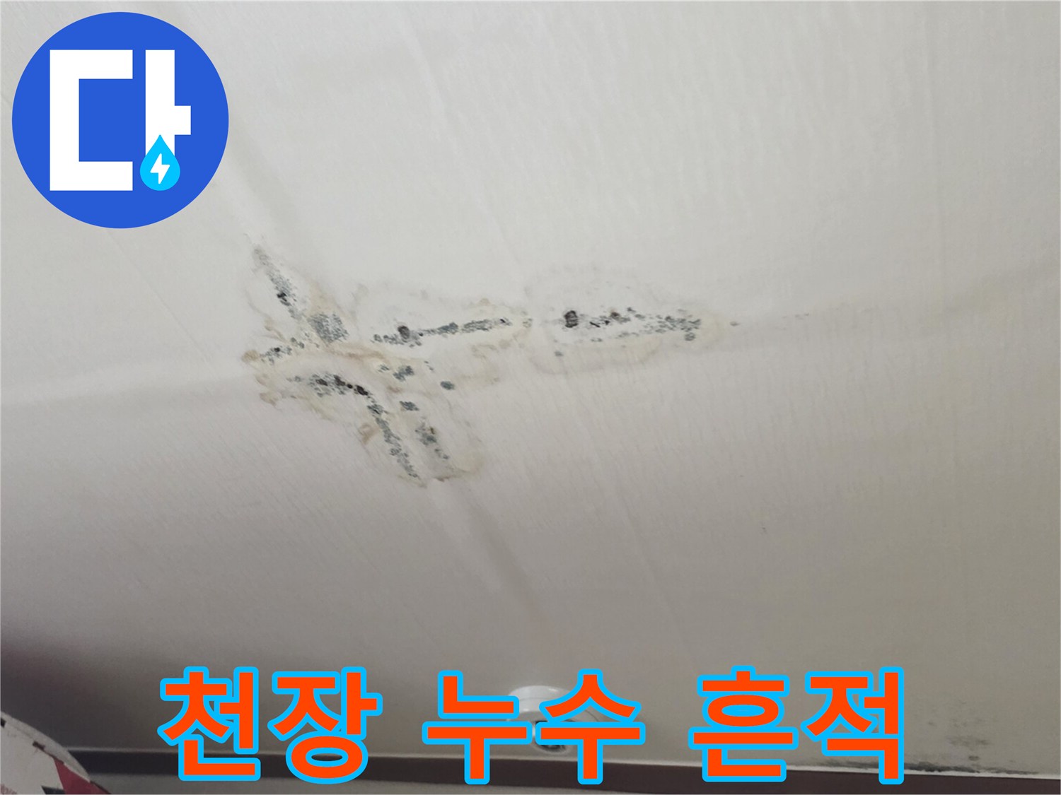 분당 구미동 아파트-천장 부위의 누수 얼룩과 곰팡이 상태