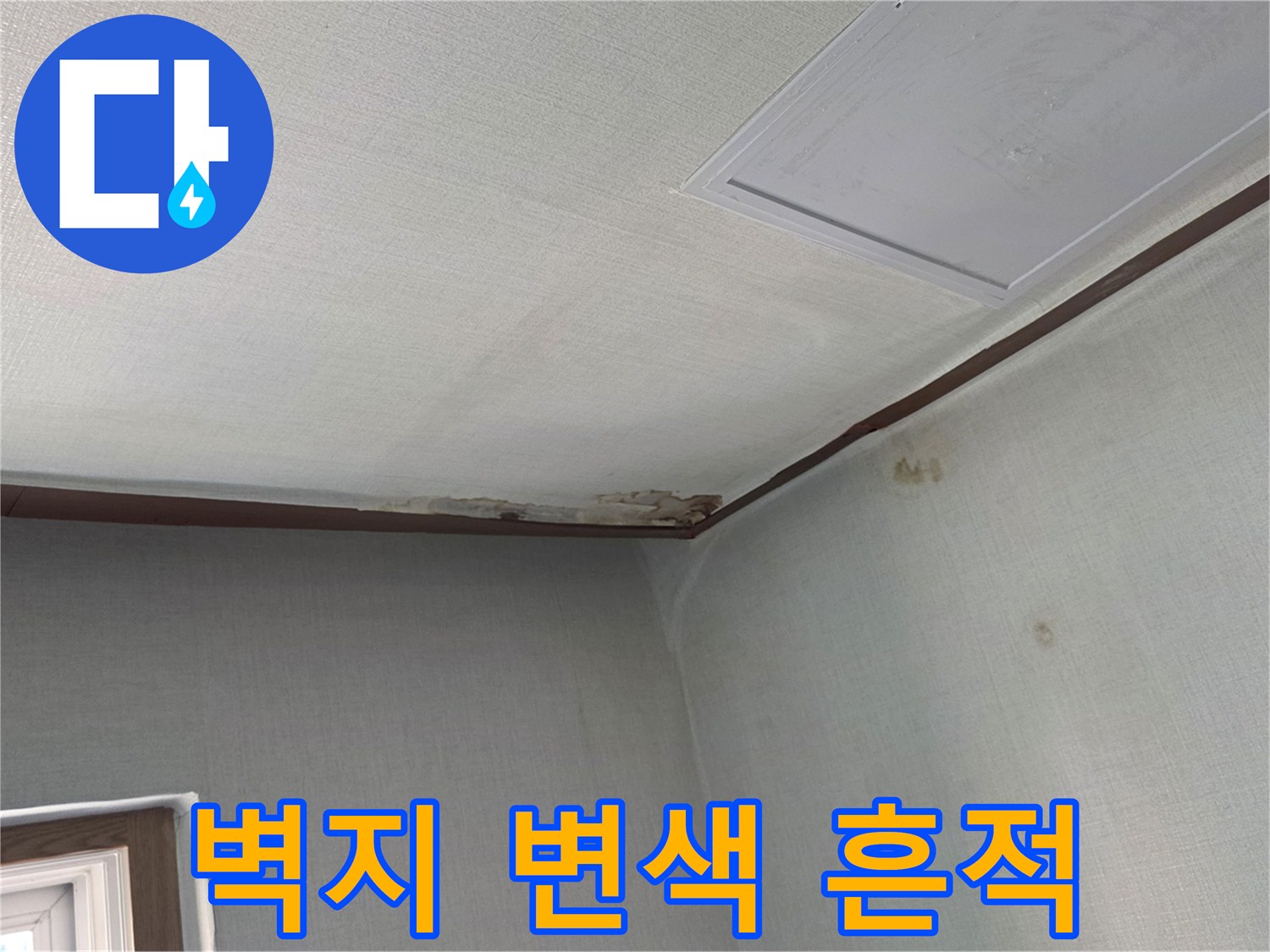 천장 근처 벽지가 젖어 어둡게 변한 모습