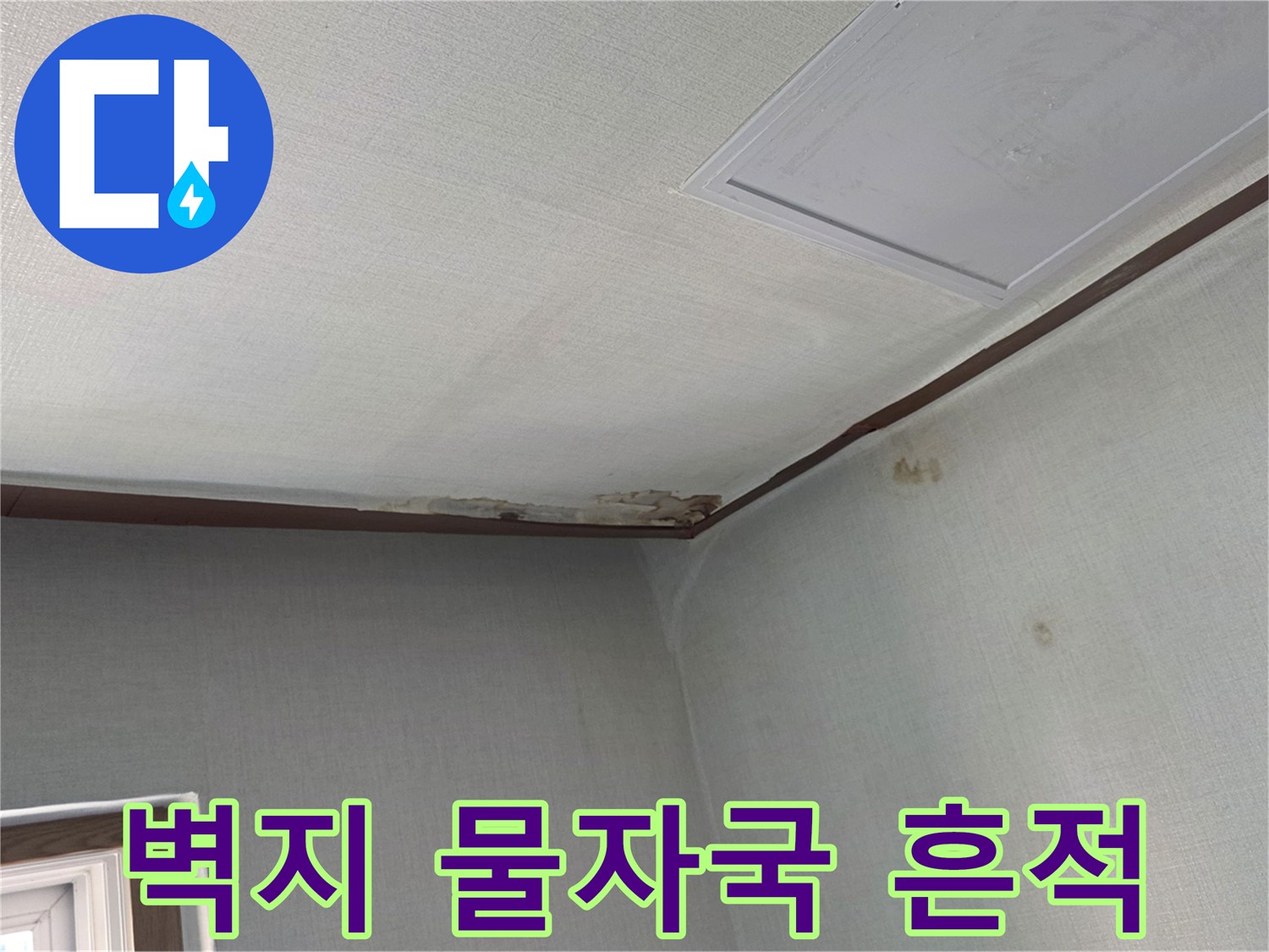 천장과 벽면 경계 부근의 젖은 얼룩 상태