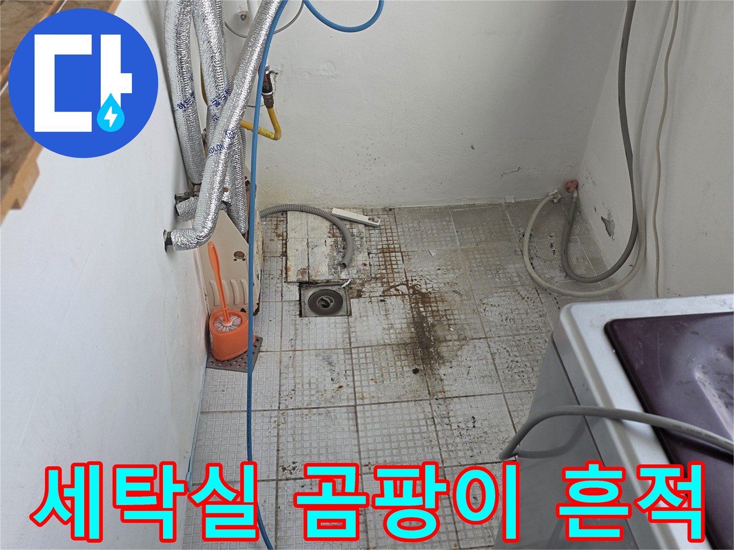 물샘으로 인해 오염된 세탁실 타일 벽면 모습