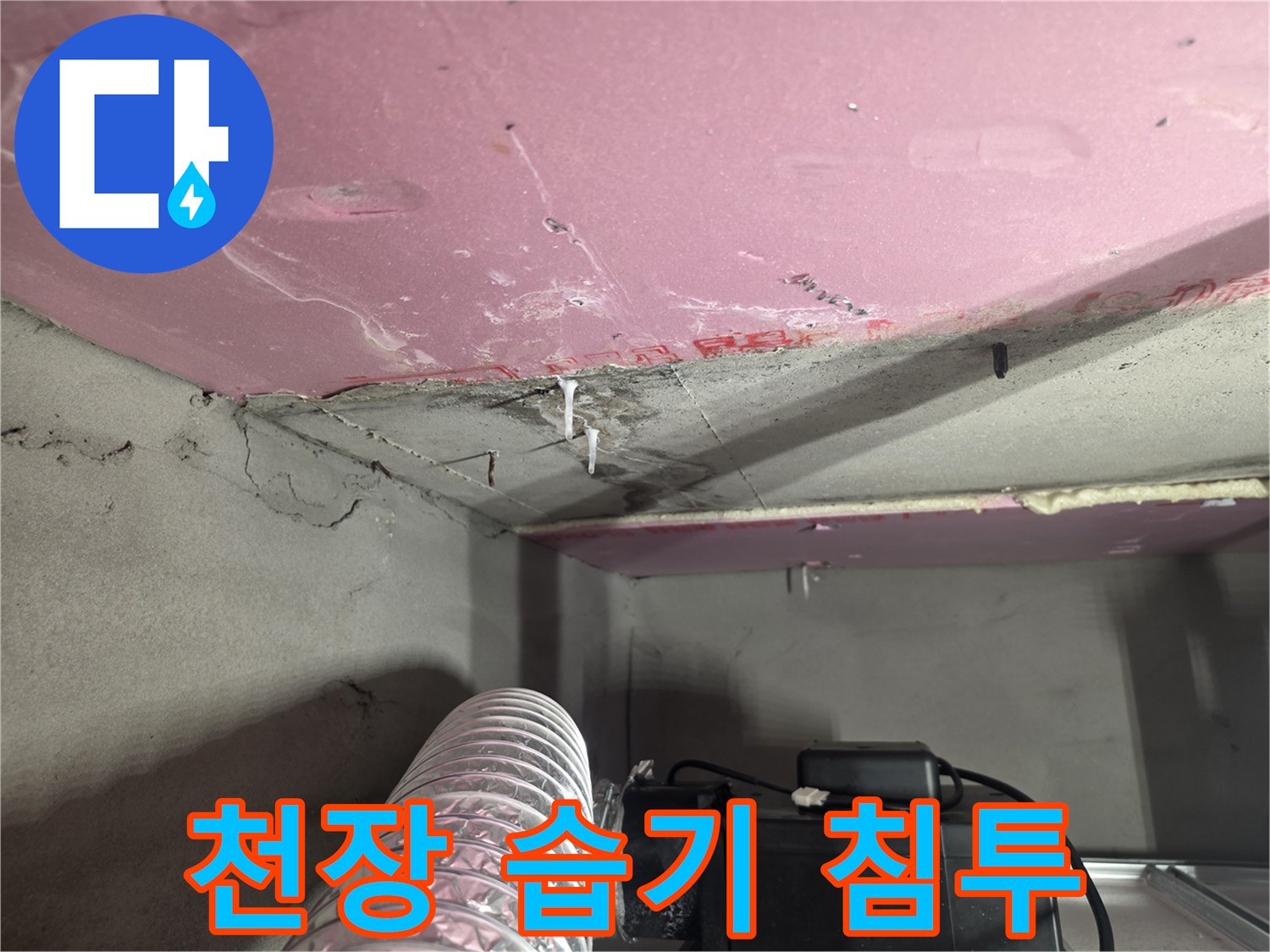 습기가 스며들어 젖어 있는 천장 내부