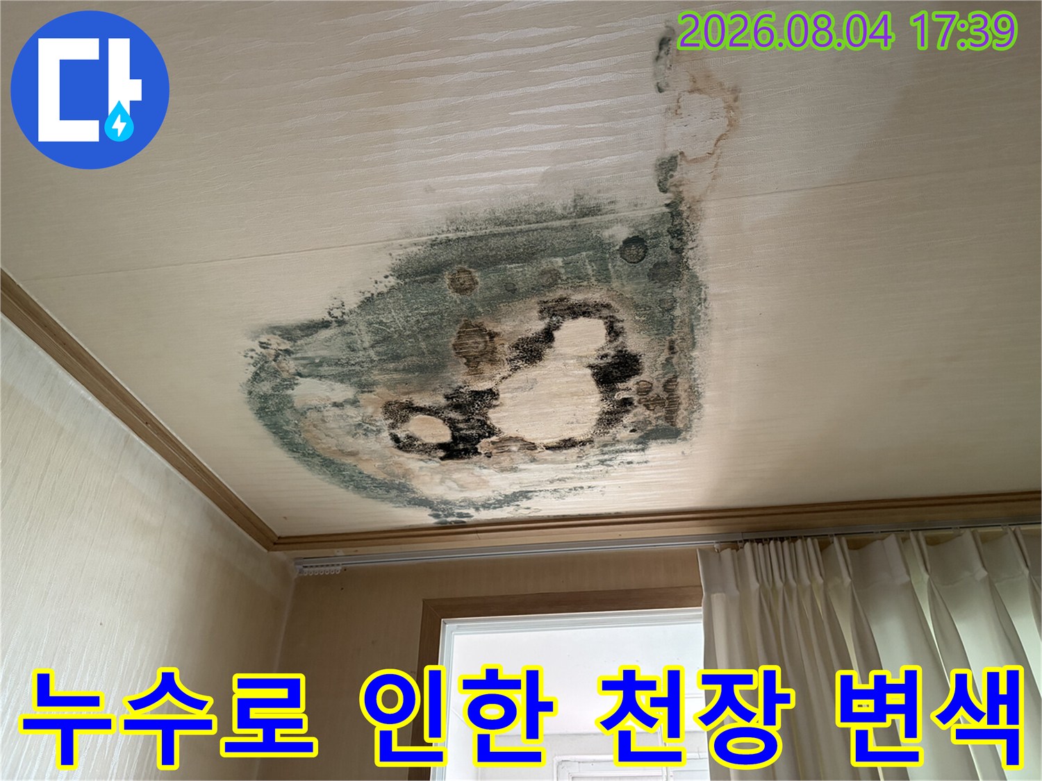 천장재 위로 번진 누수 오염과 곰팡이 발생 구간
