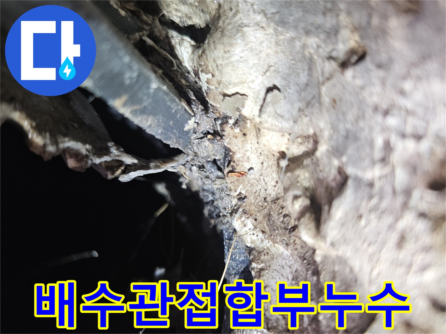 세탁실-배수-호스-연결-틈새를-통한-물샘-증상