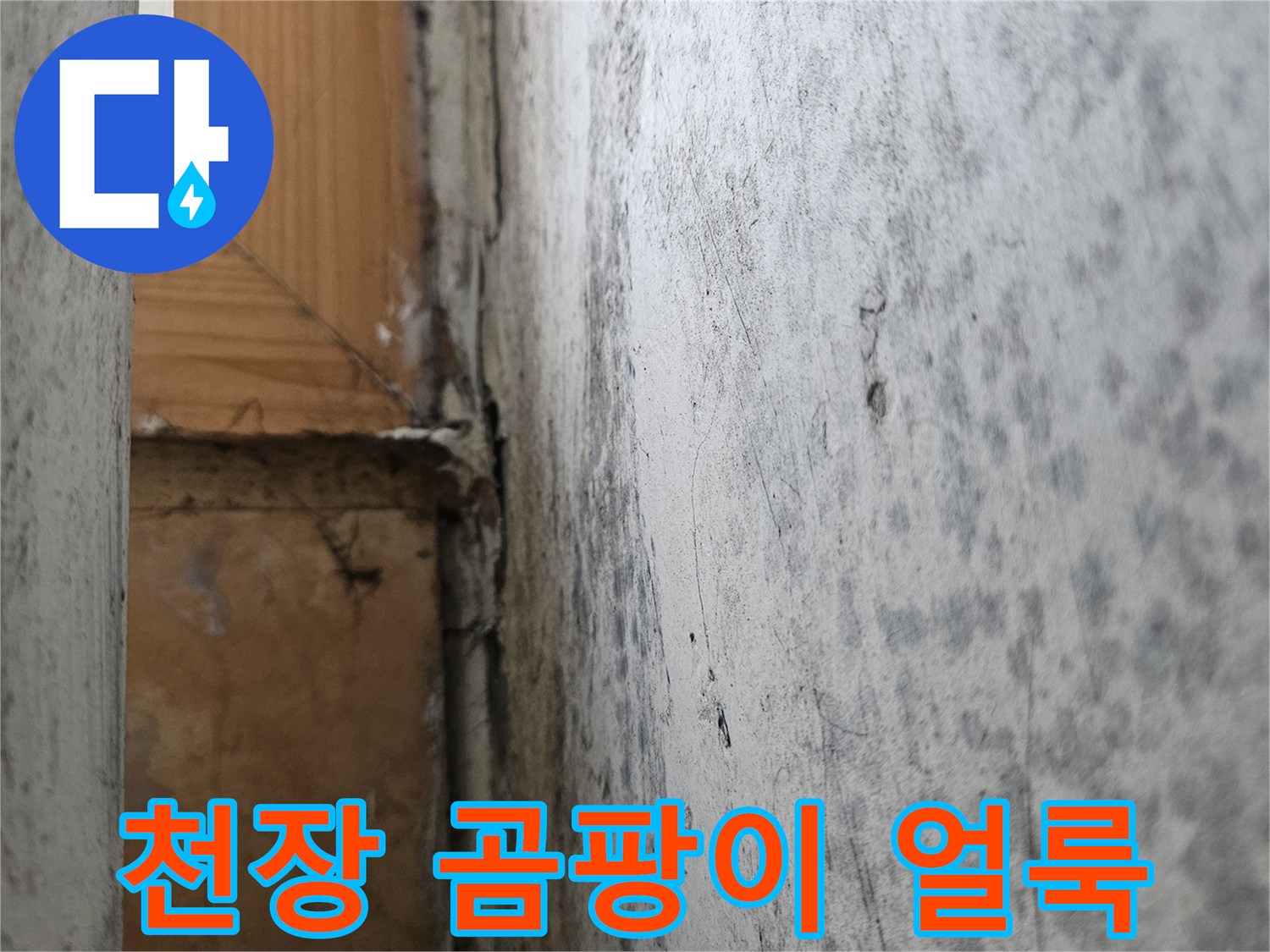 세탁실-천장-마감재-부분적인-곰팡이와-습기-침투-흔적