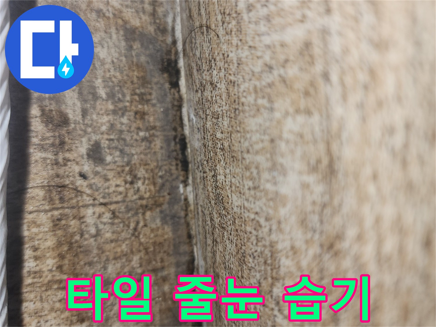 타일 경계면-물기가 스며들어 변색된 타일 틈새