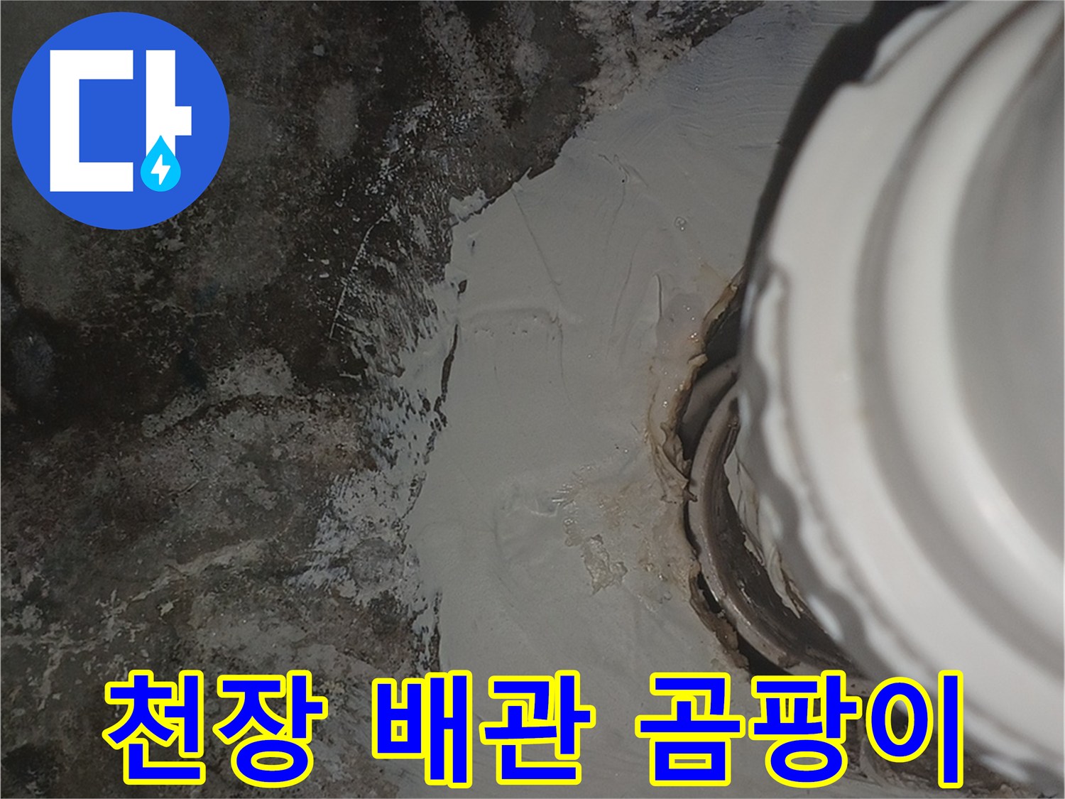 배관 주위로 번진 곰팡이와 누수 흔적 사진
