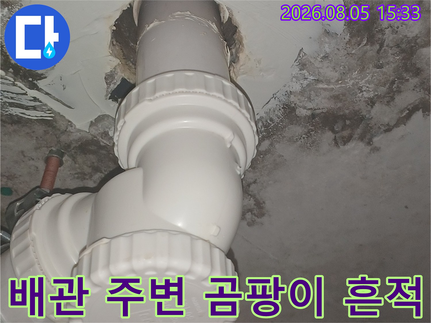 천장 내부 배관 주위에-심하게 번진 곰팡이와 오염