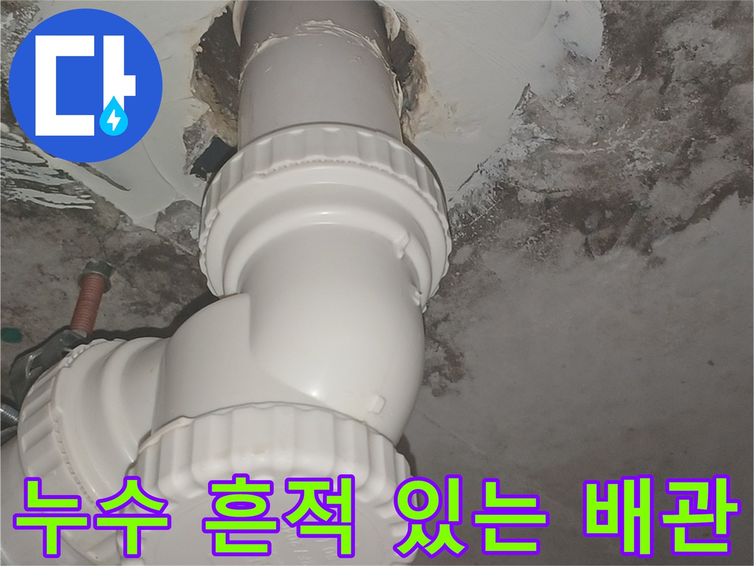 천장 배관-주변 벽면의 곰팡이 발생 상태