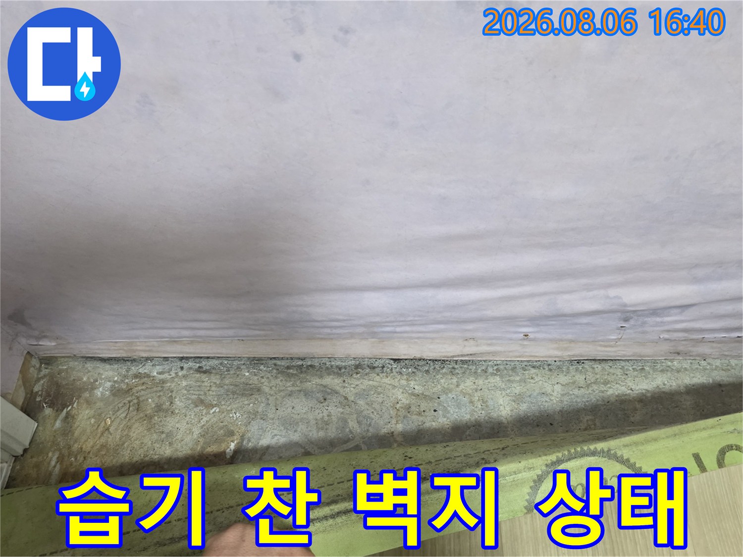벽지 하단에 나타난 곰팡이와 변색된 얼룩 부위
