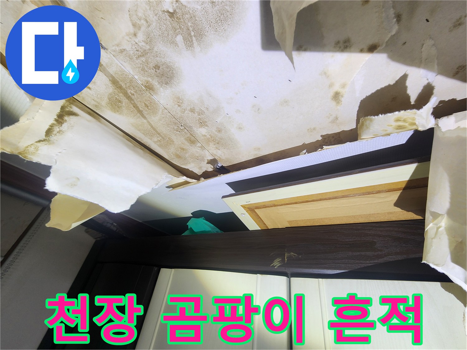 심한 물얼룩과 곰팡이가 뒤섞여 있는 거실 천장 벽지 마감